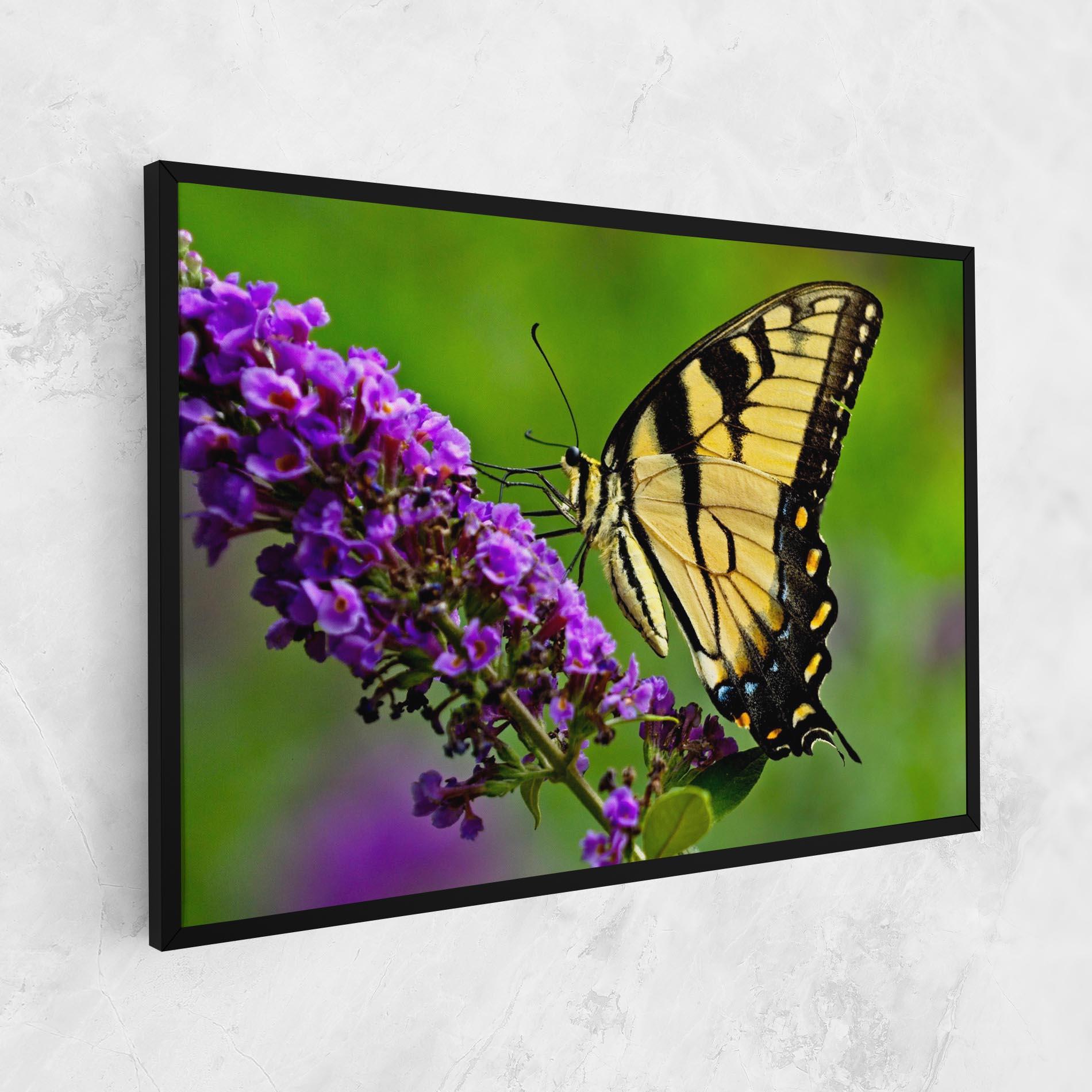 Vászonkép Cream Wild Butterfly mockup 1