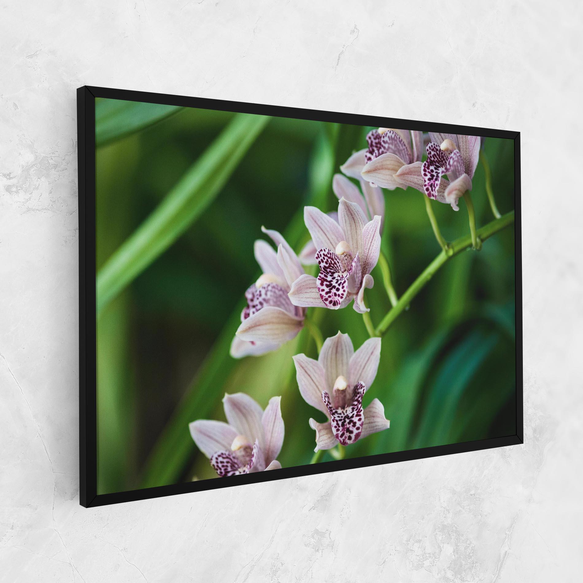 Vászonkép Cymbidium Orchid mockup 1