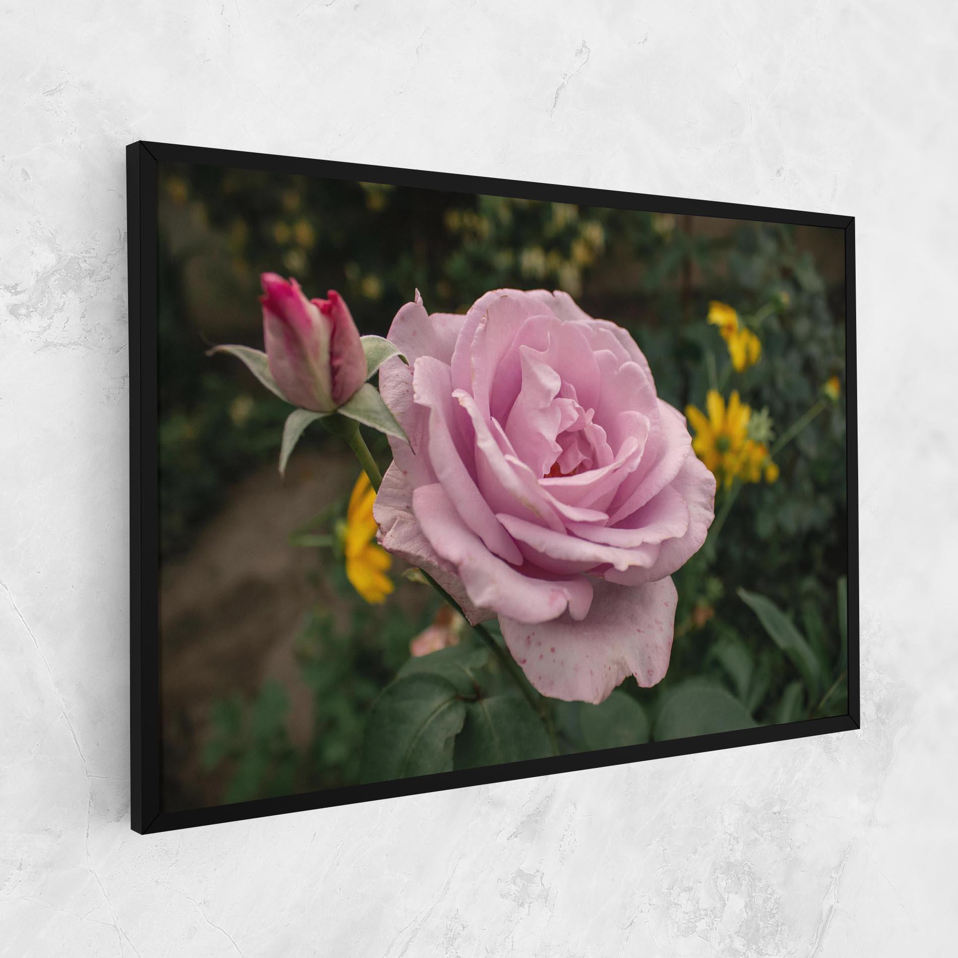 Vászonkép Garden Pink Rose mockup 1