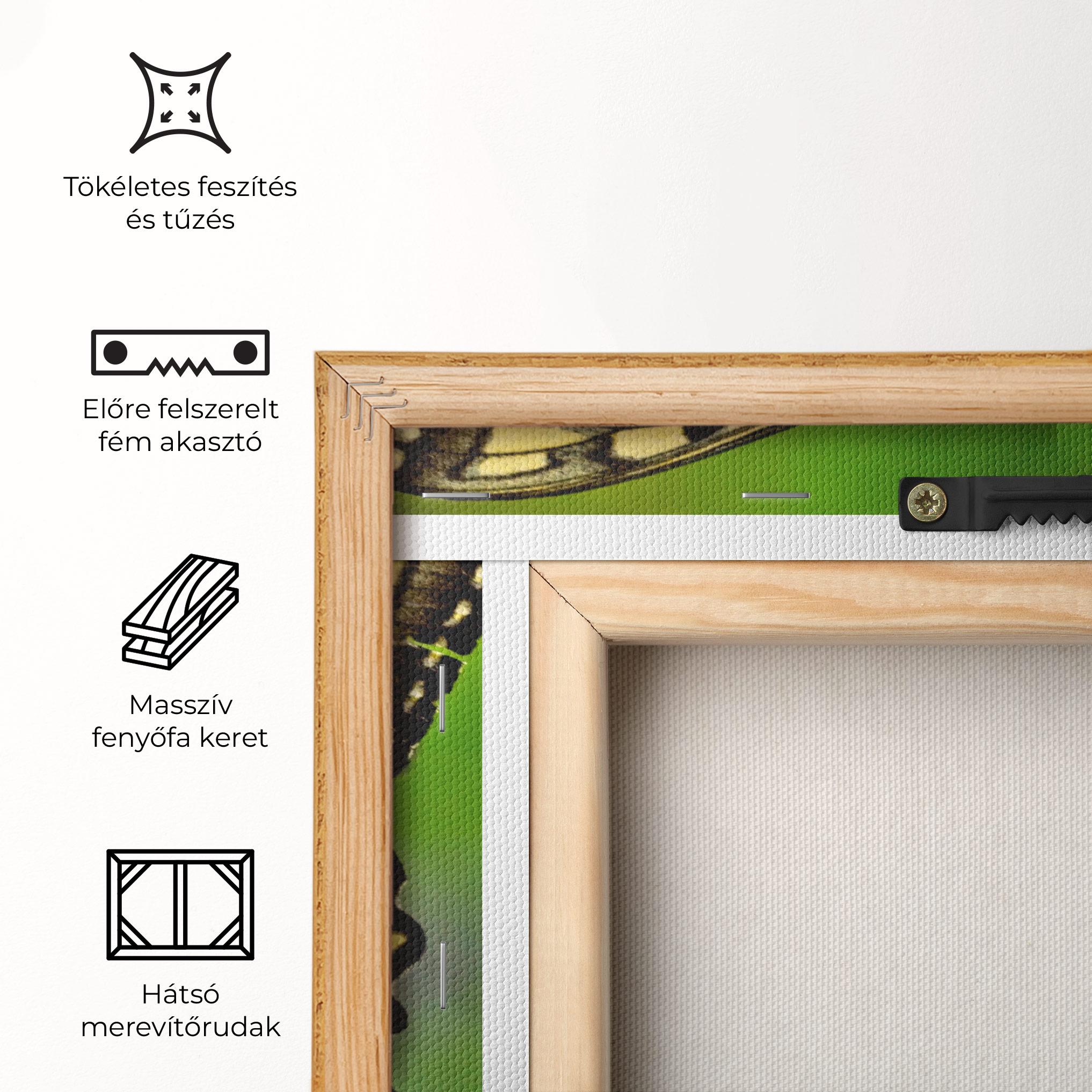 Vászonkép Cream Wild Butterfly mockup 5