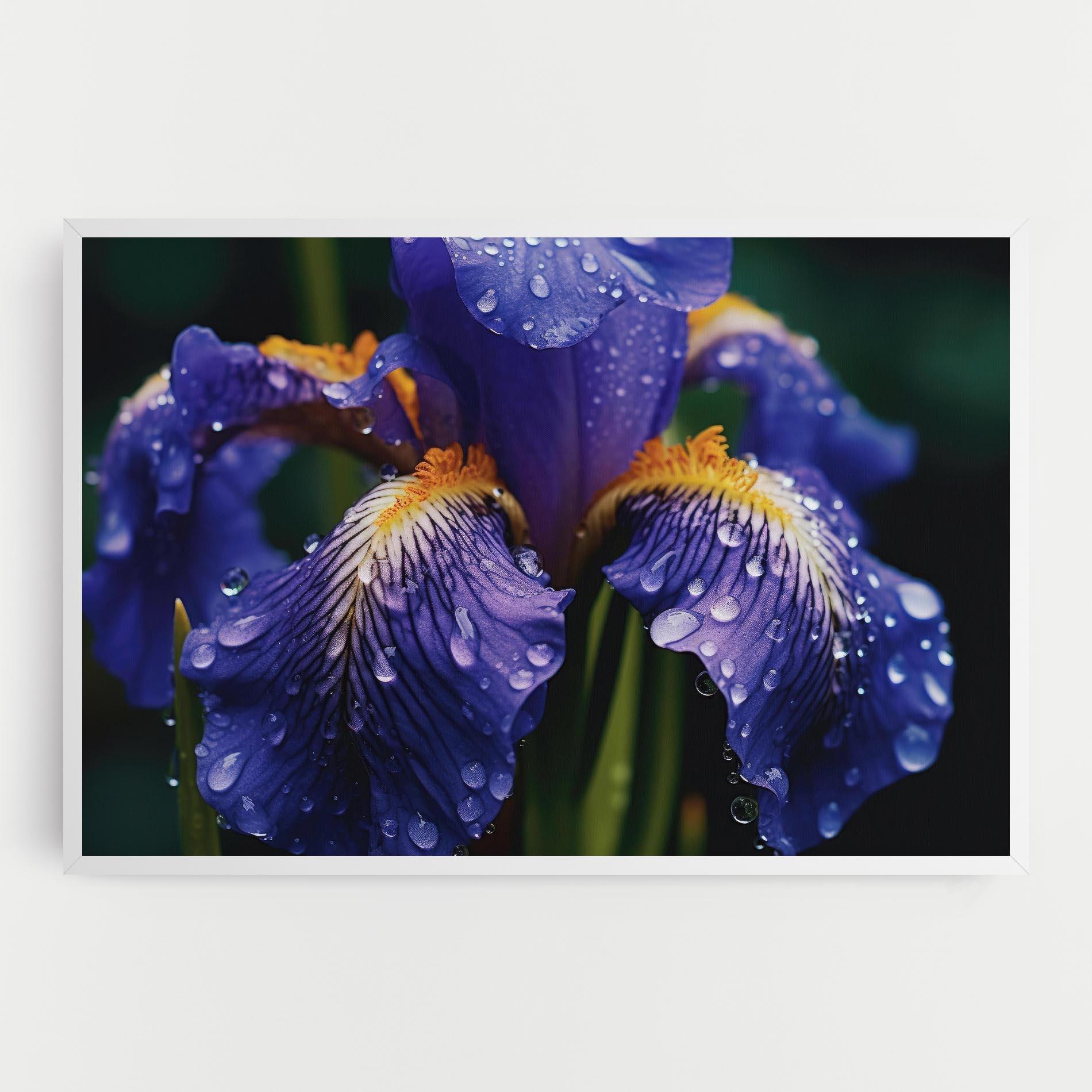 Vászonkép Iris After Rain mockup 0