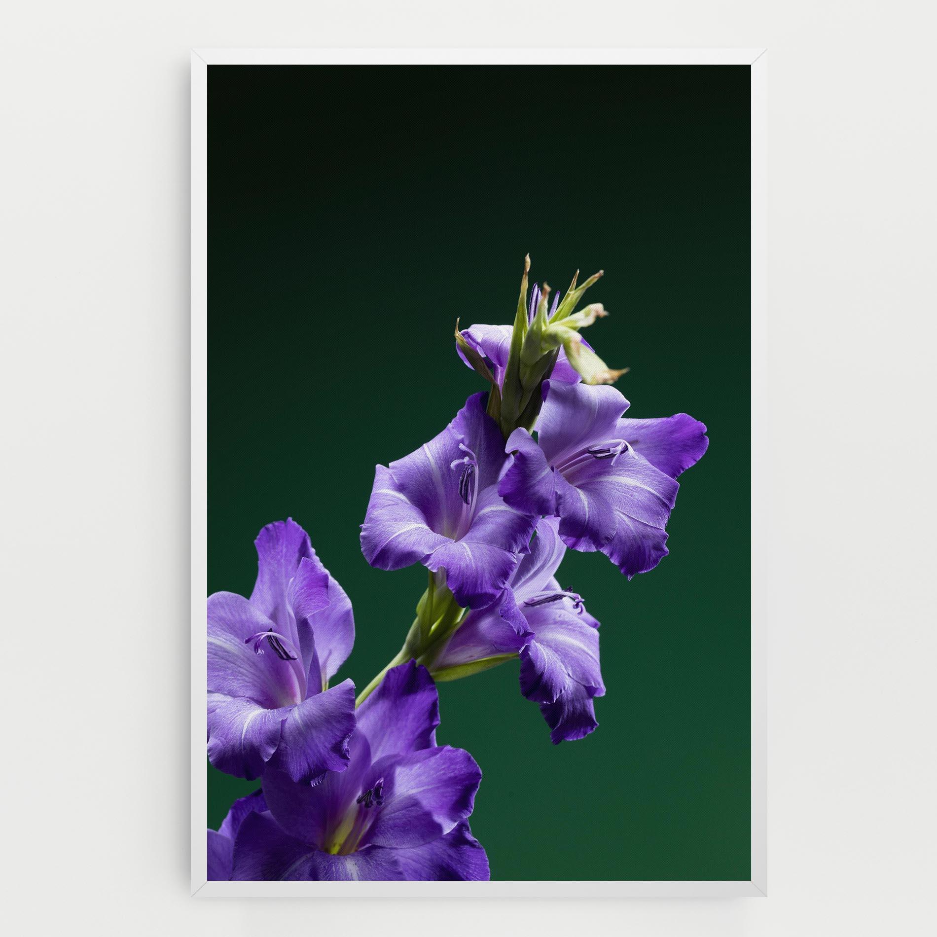 Vászonkép Iris On Green mockup 0