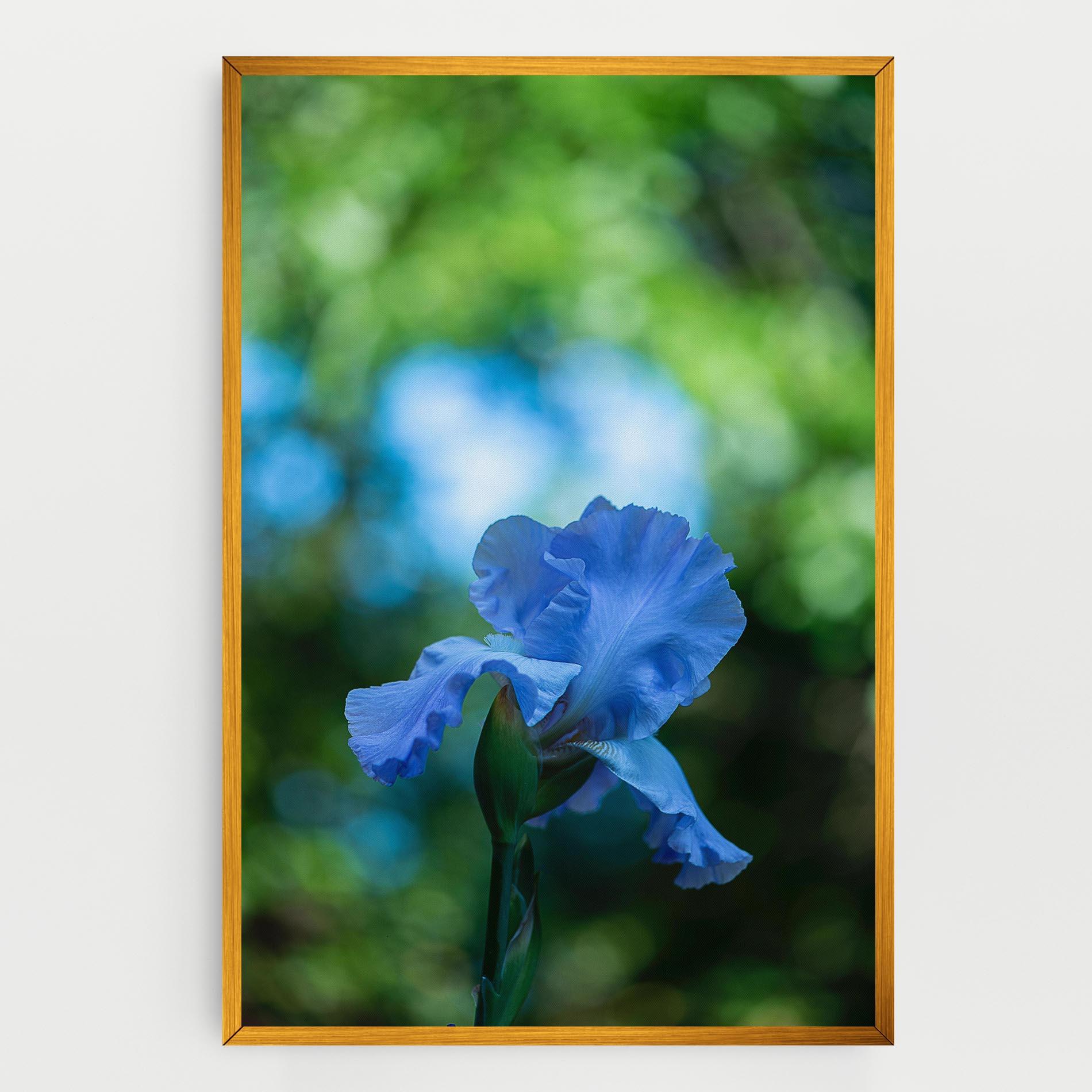 Vászonkép Blue Iris In The Garden mockup 0