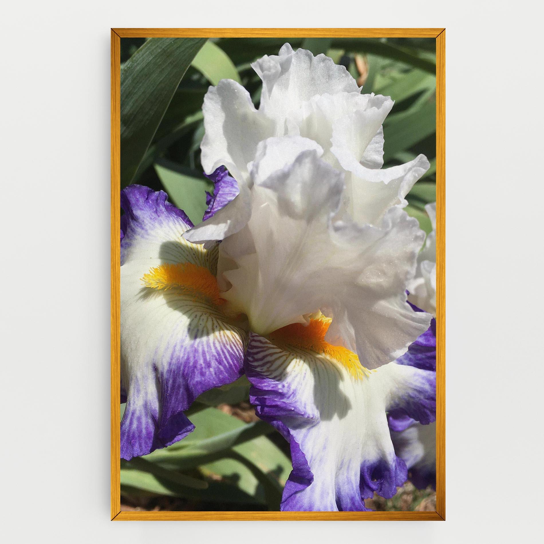 Vászonkép Garden White Purple Irirs mockup 0