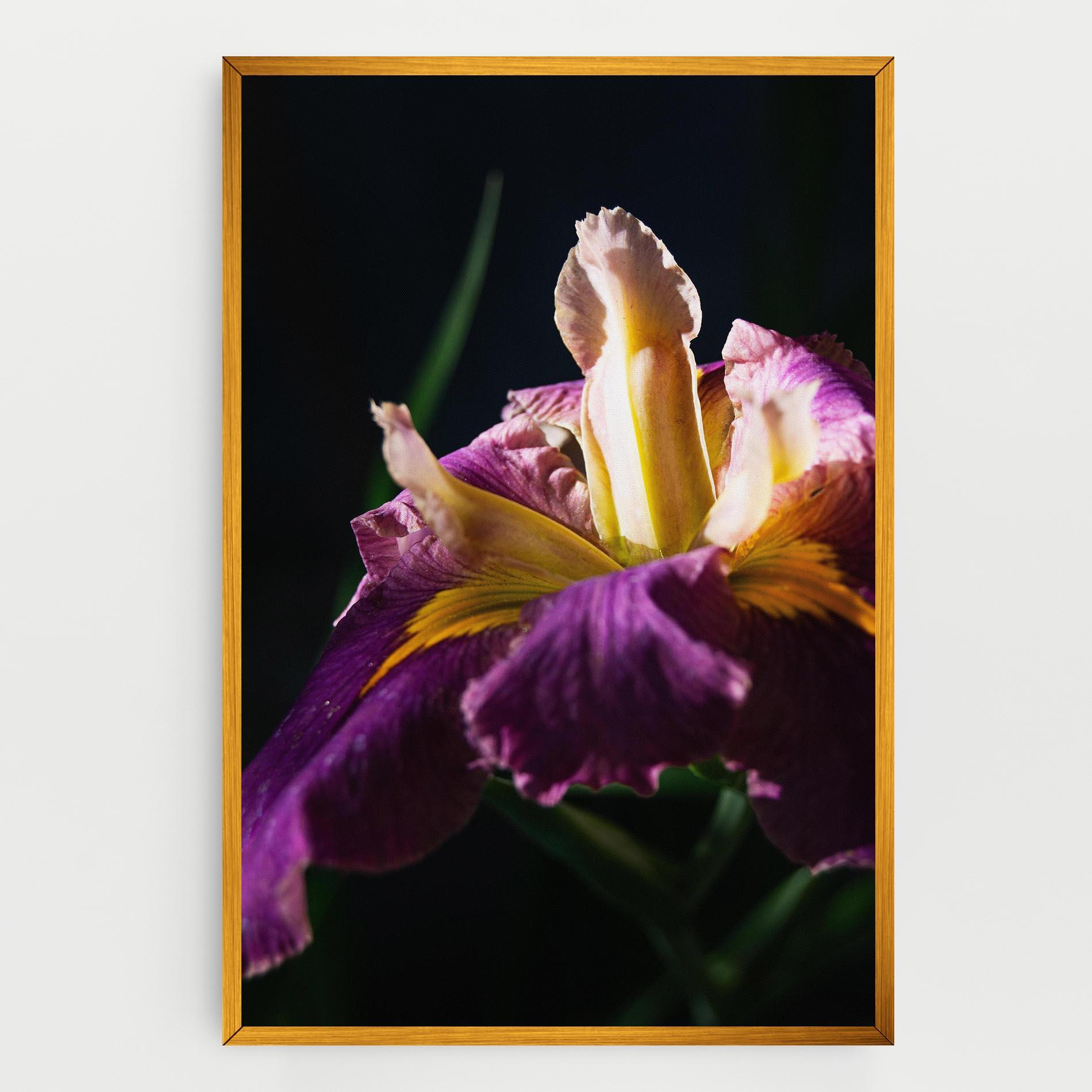 Vászonkép Pastel Yellow Iris mockup 0