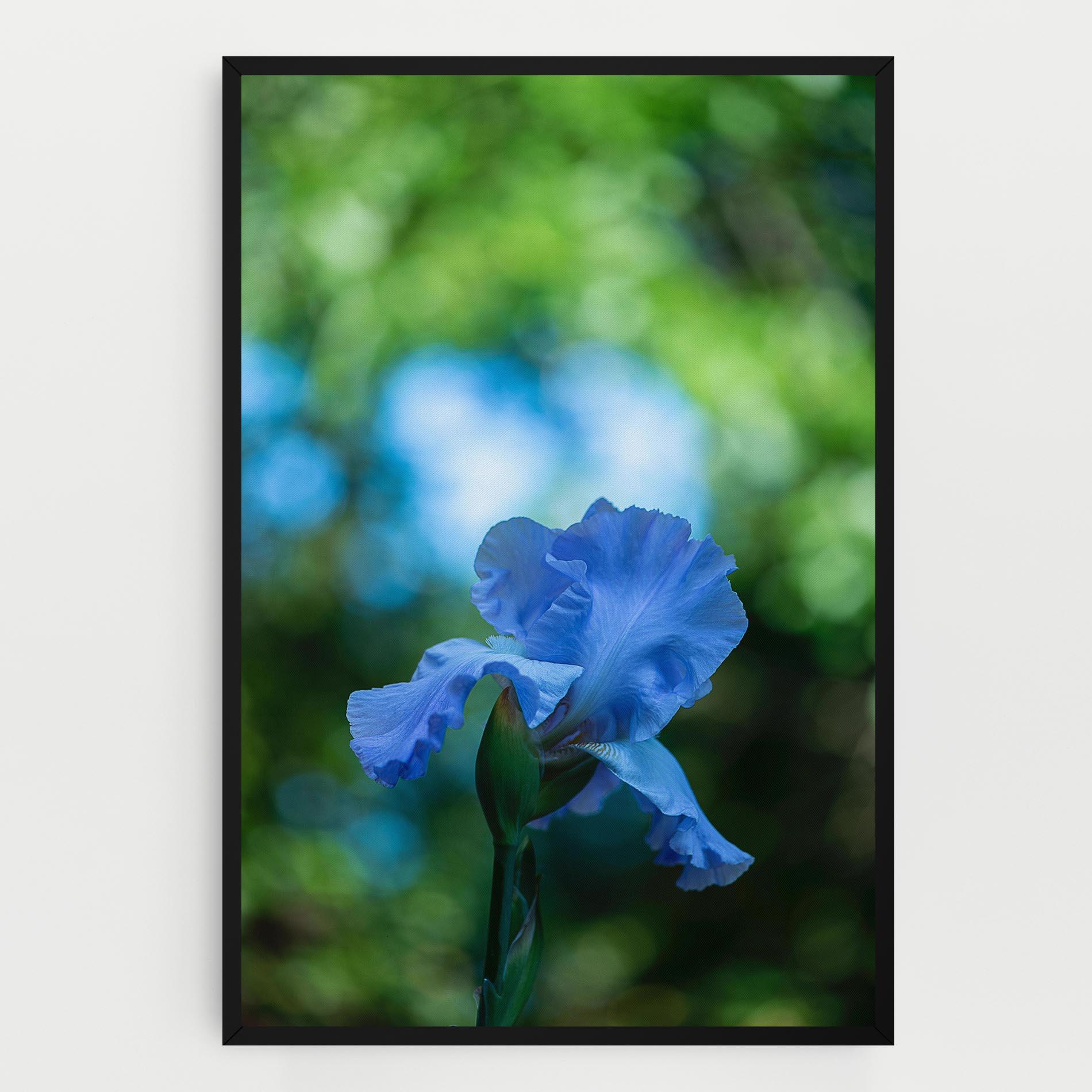 Vászonkép Blue Iris In The Garden mockup 0