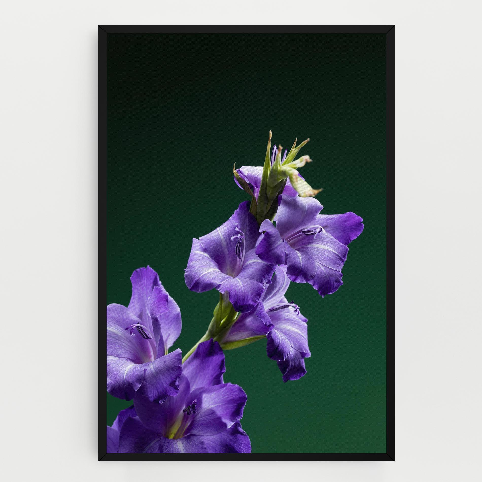 Vászonkép Iris On Green mockup 0