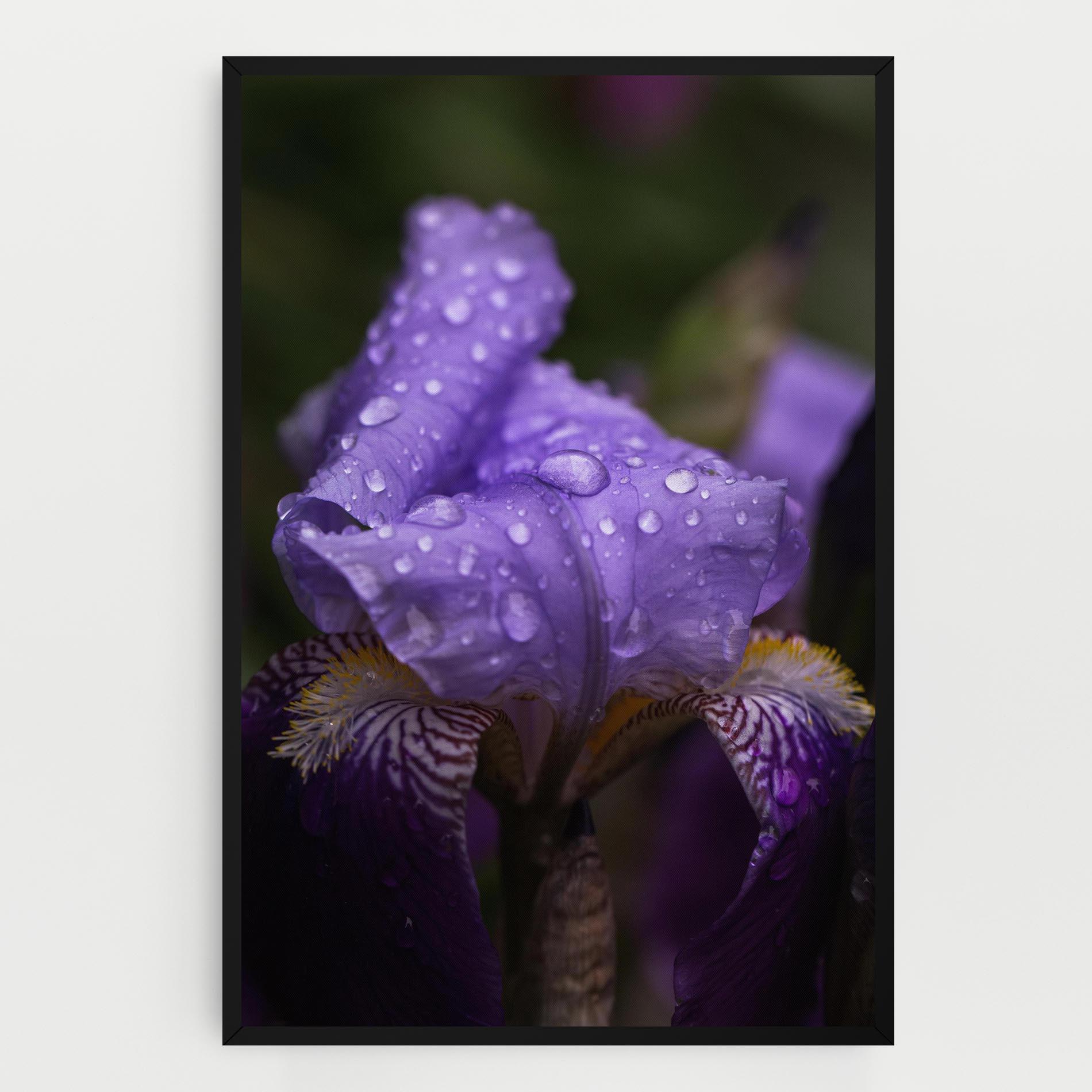 Vászonkép Rain In The Garden mockup 0