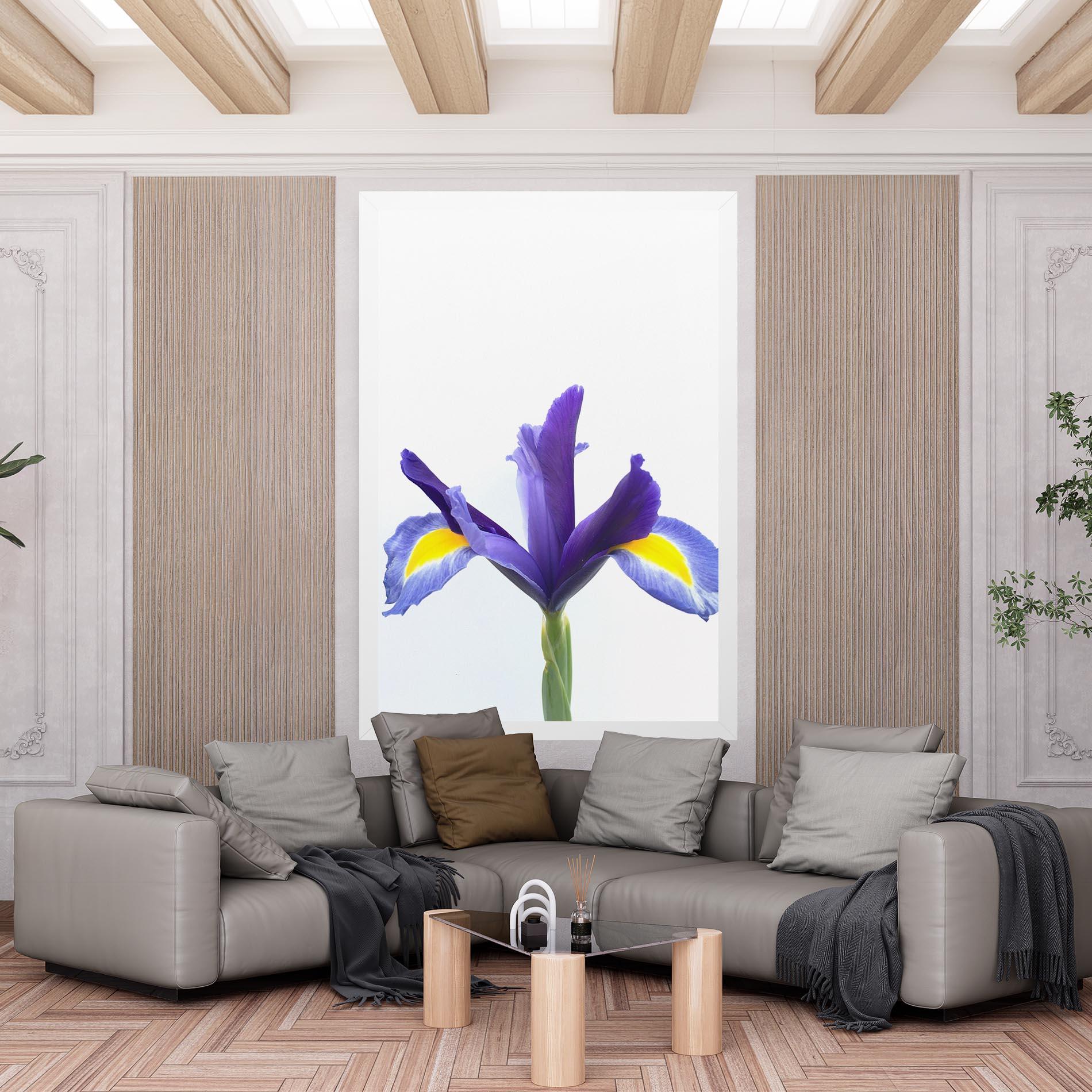 Vászonkép Yellow Color Iris mockup 6