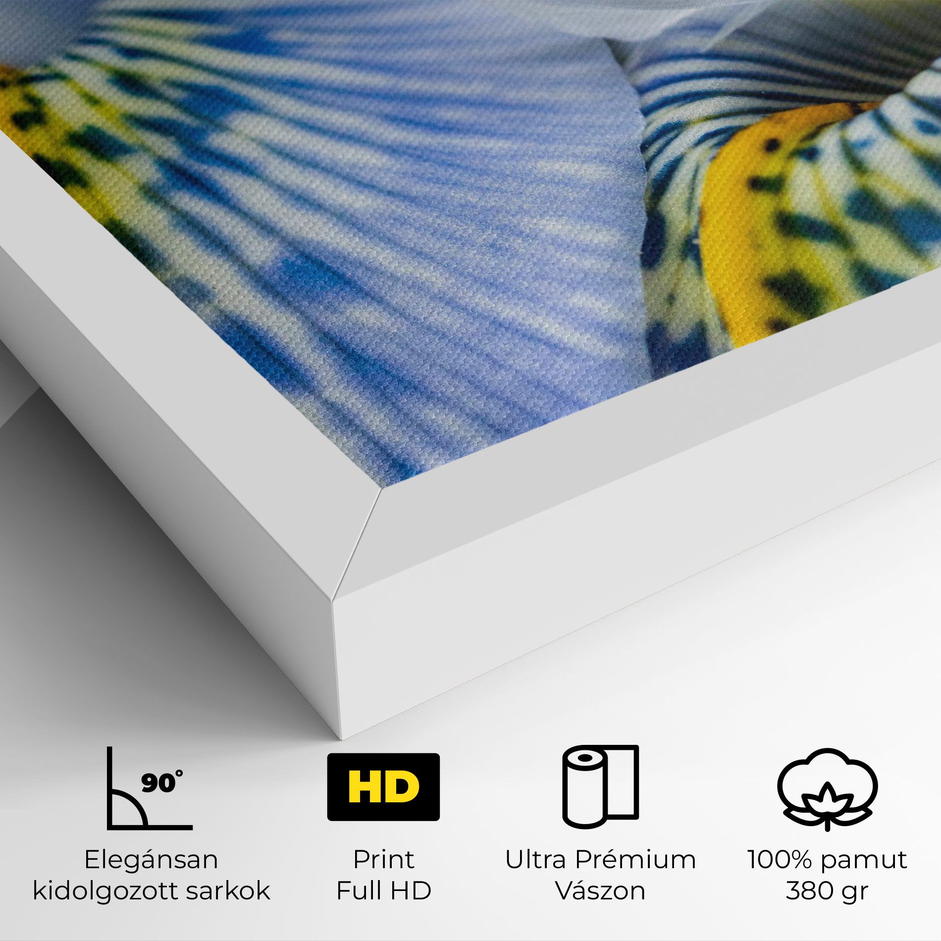 Blue Yellow Iris mockup 4