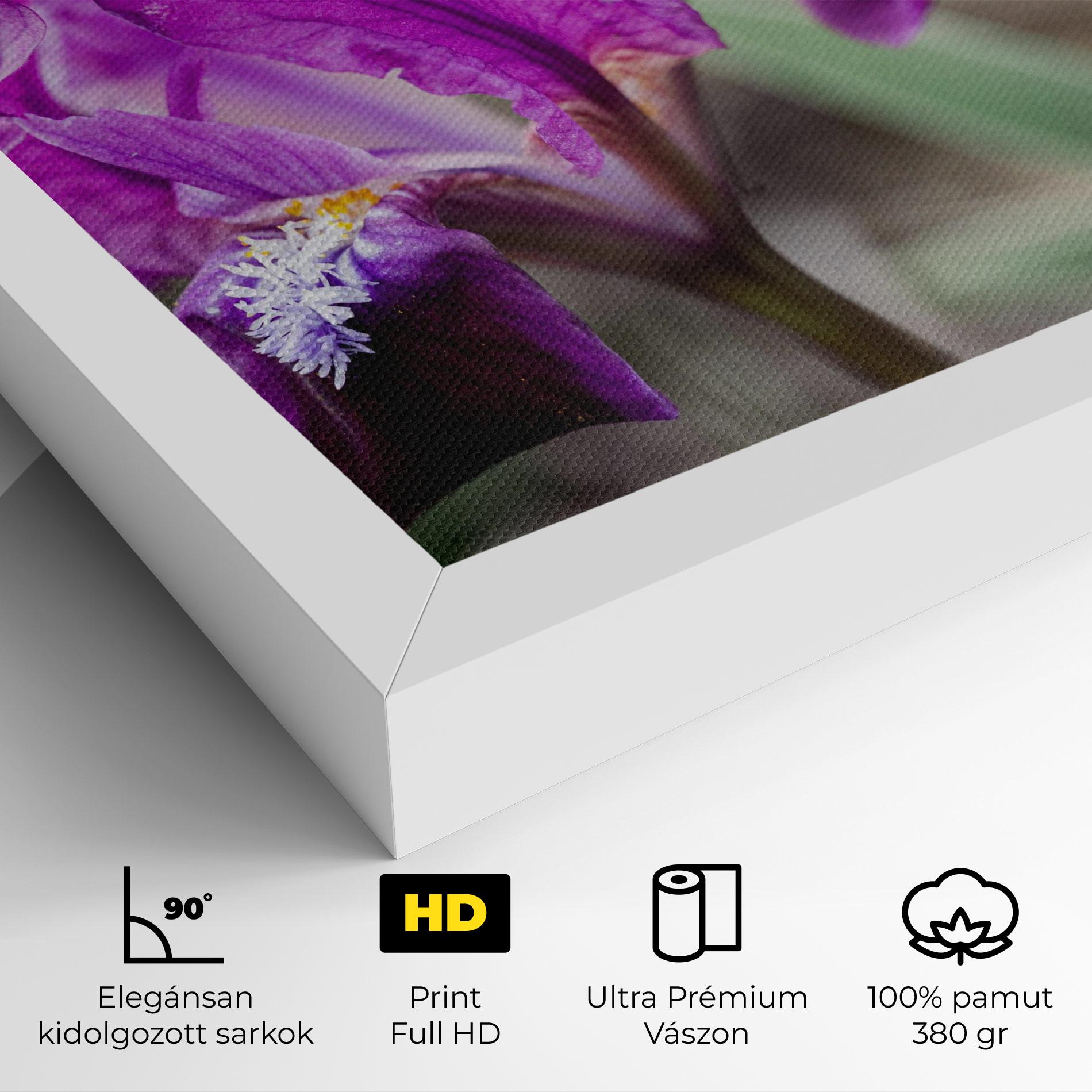 Vászonkép Dark Pink Iris mockup 4