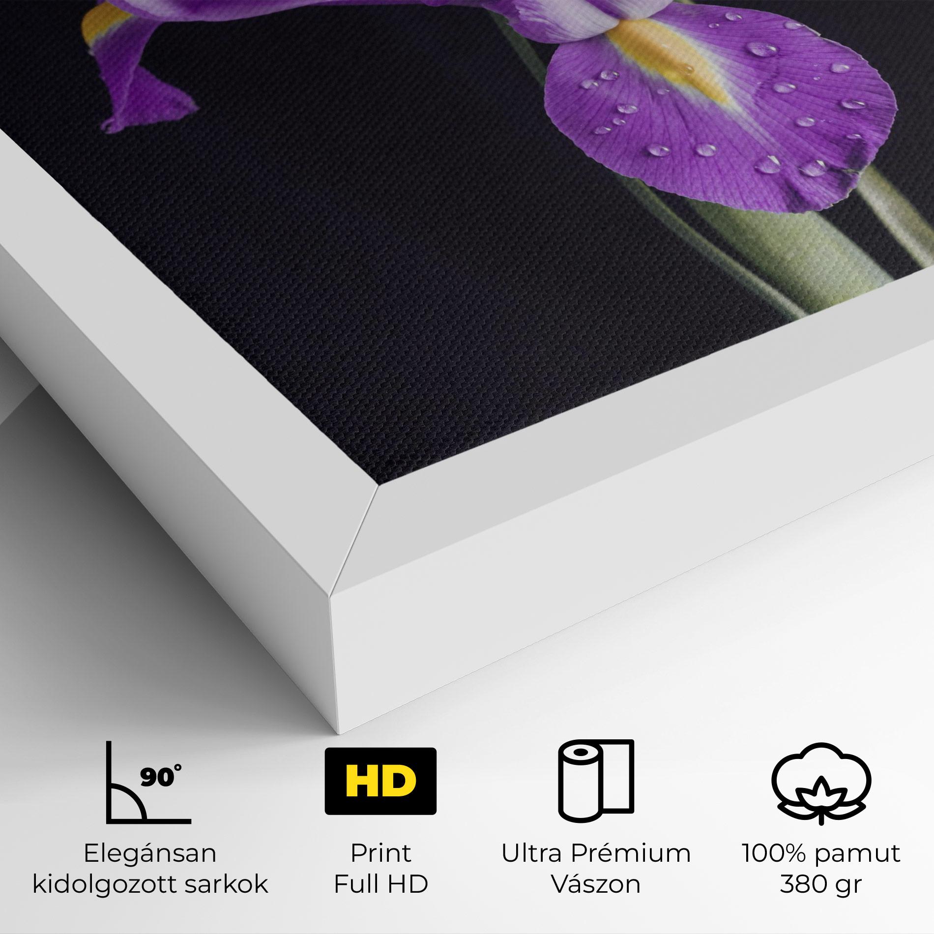 Vászonkép Fresh Purple Iris mockup 4