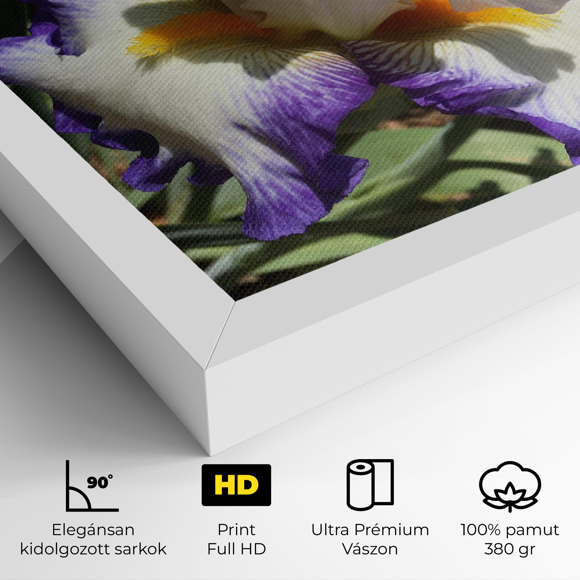 Vászonkép Garden White Purple Irirs mockup 4