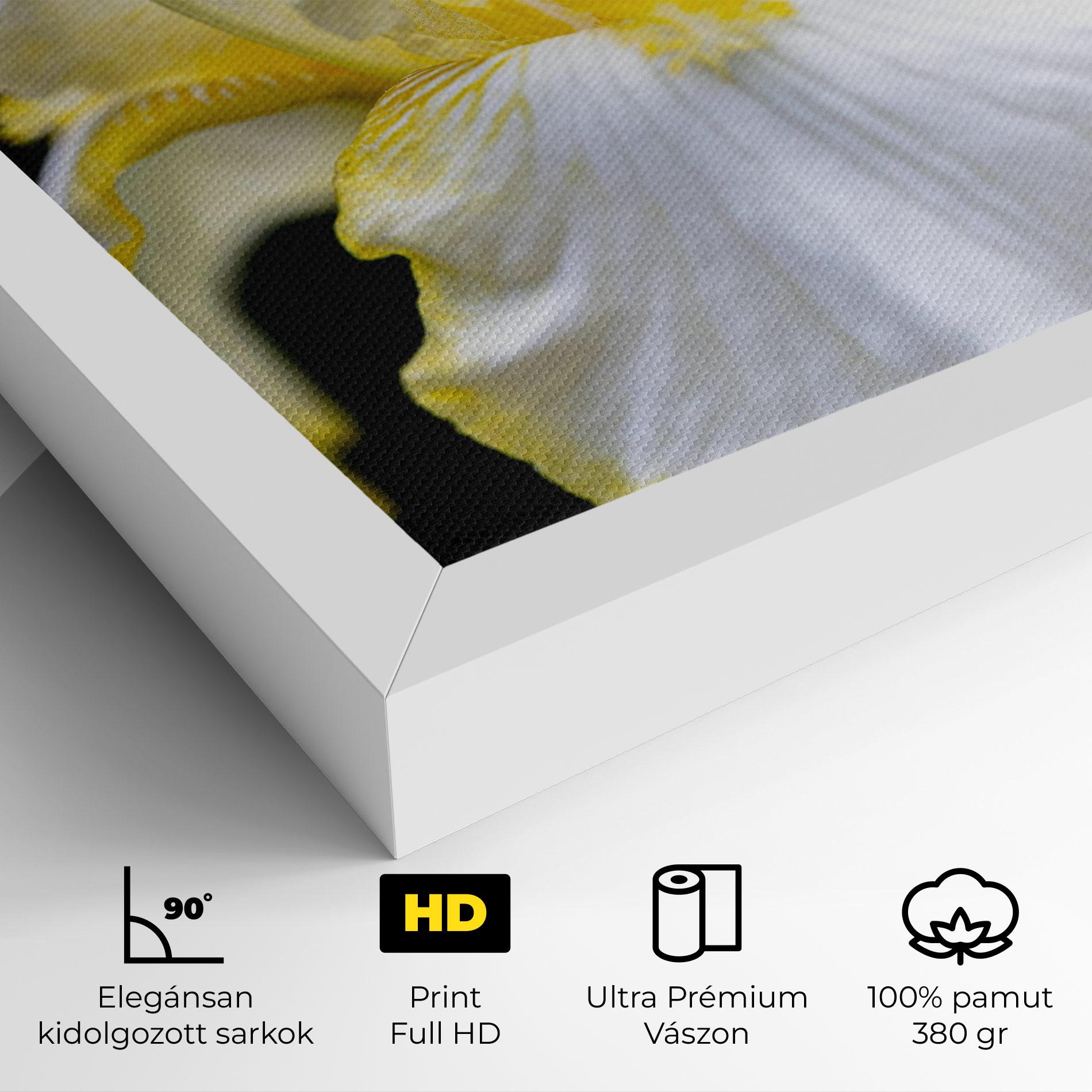 Vászonkép White Yellow Iris mockup 4