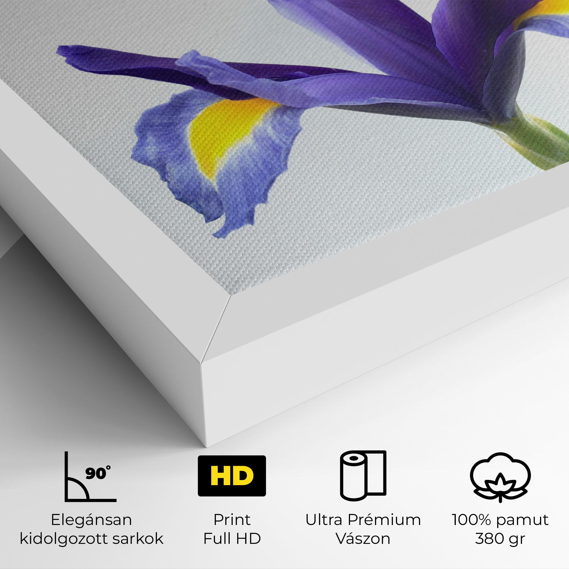 Vászonkép Yellow Color Iris mockup 4