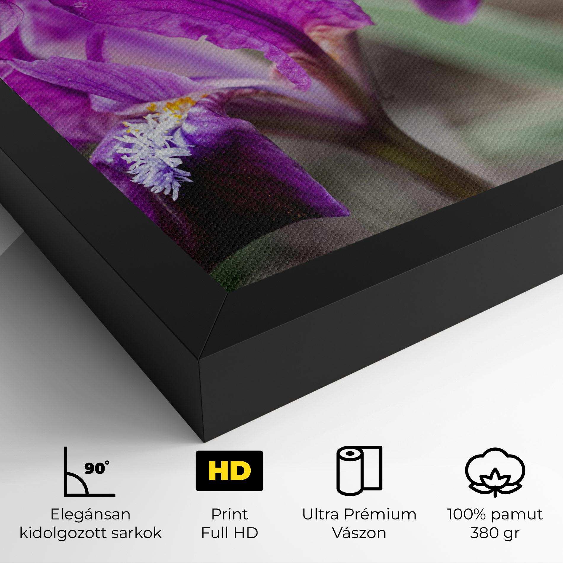 Vászonkép Dark Pink Iris mockup 4