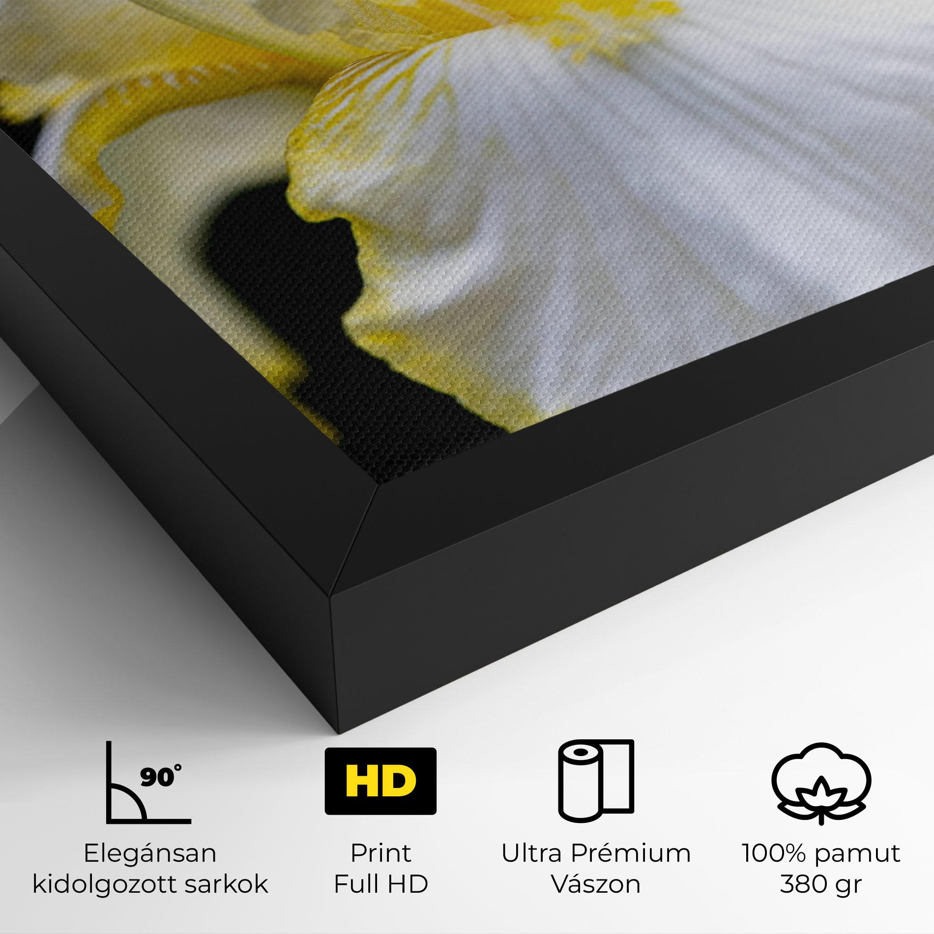 Vászonkép White Yellow Iris mockup 4