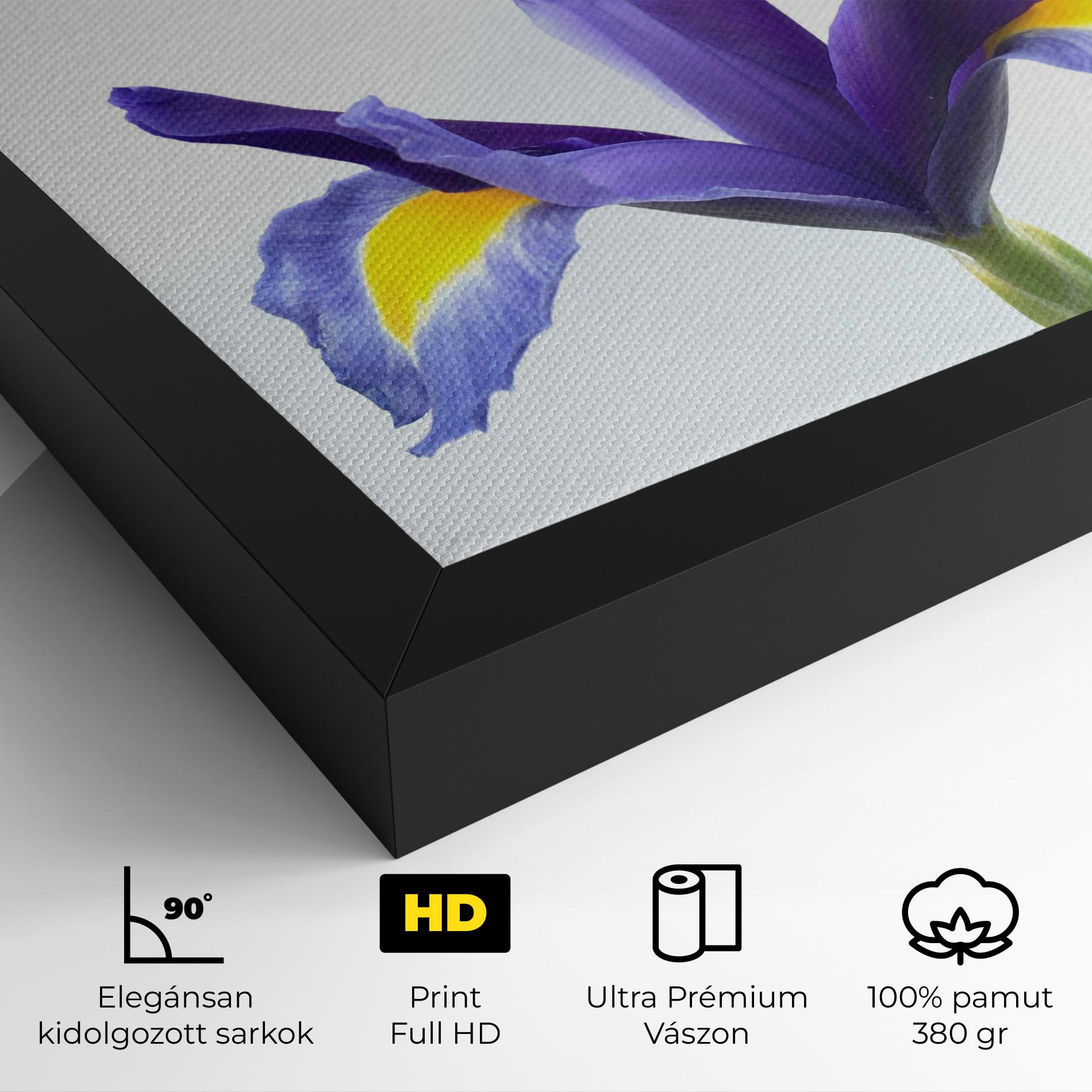 Vászonkép Yellow Color Iris mockup 4