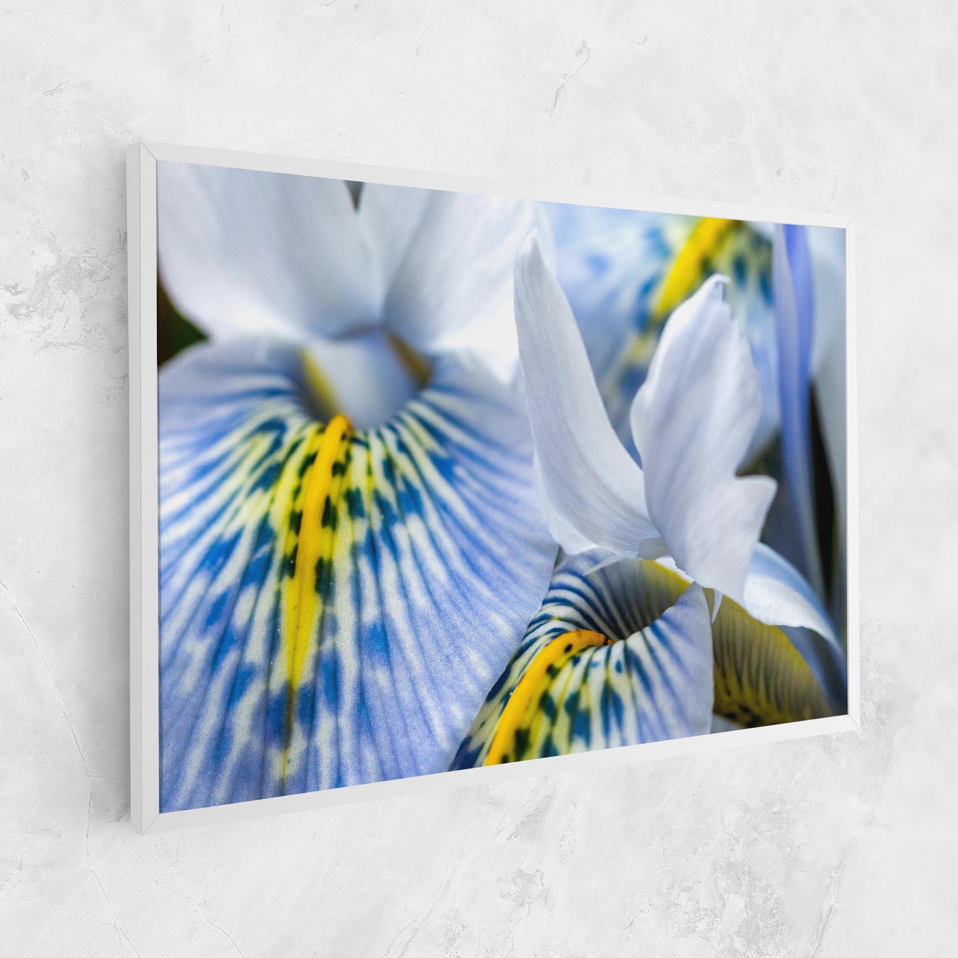 Vászonkép Blue Yellow Iris mockup 1