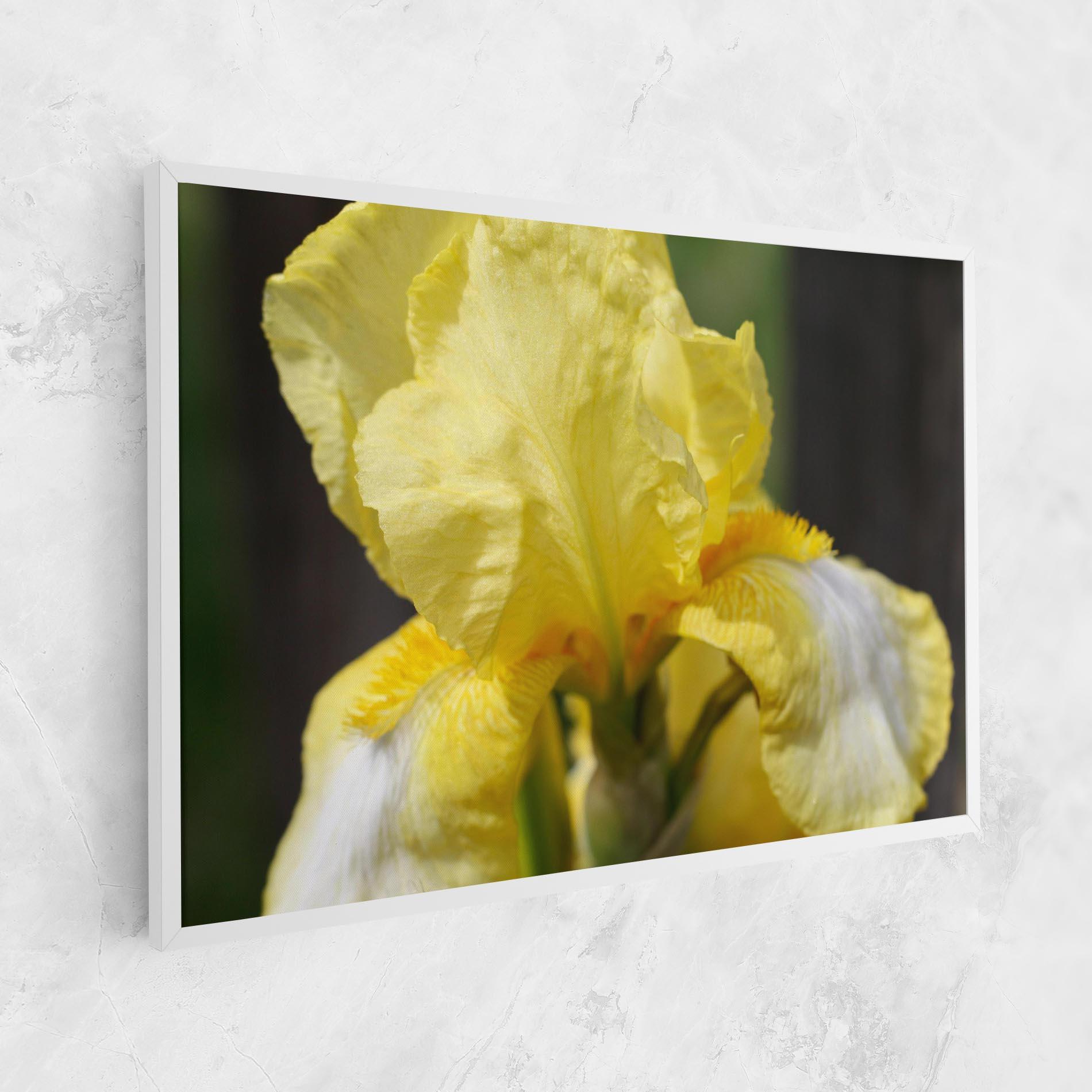 Vászonkép Garden Yellow Iris mockup 1