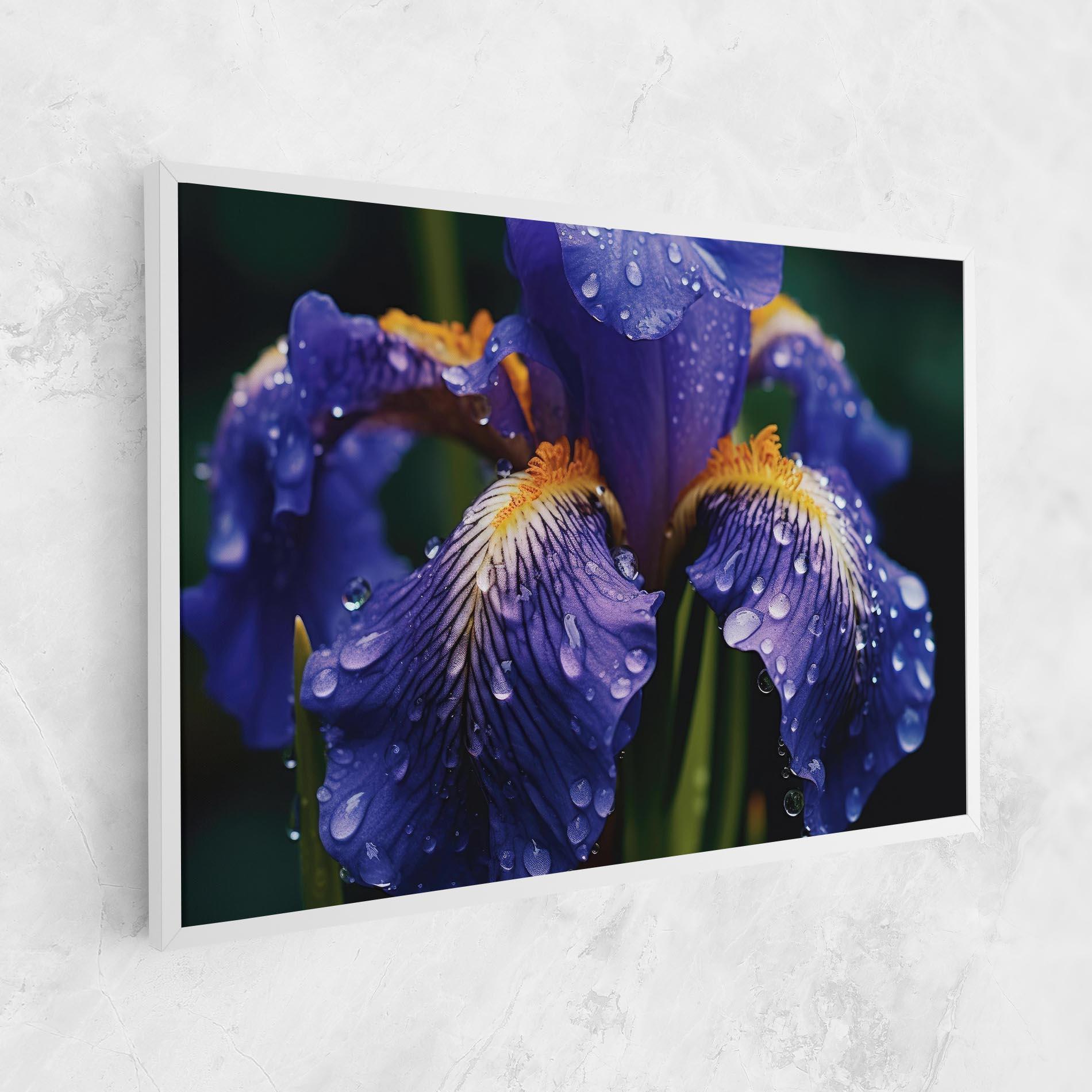 Vászonkép Iris After Rain mockup 1