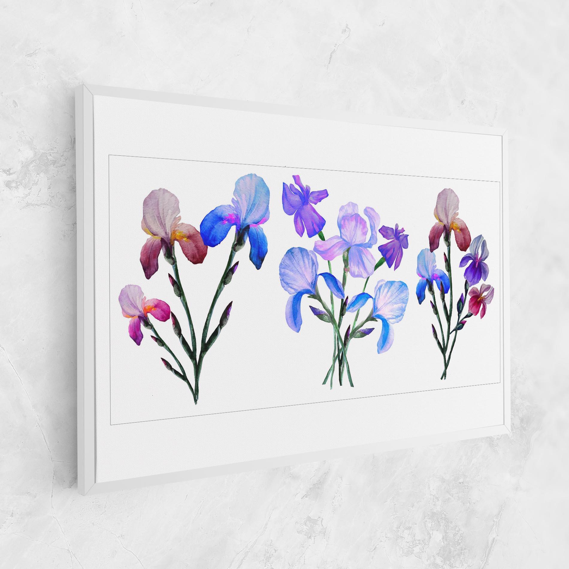 Vászonkép Iris Set mockup 1