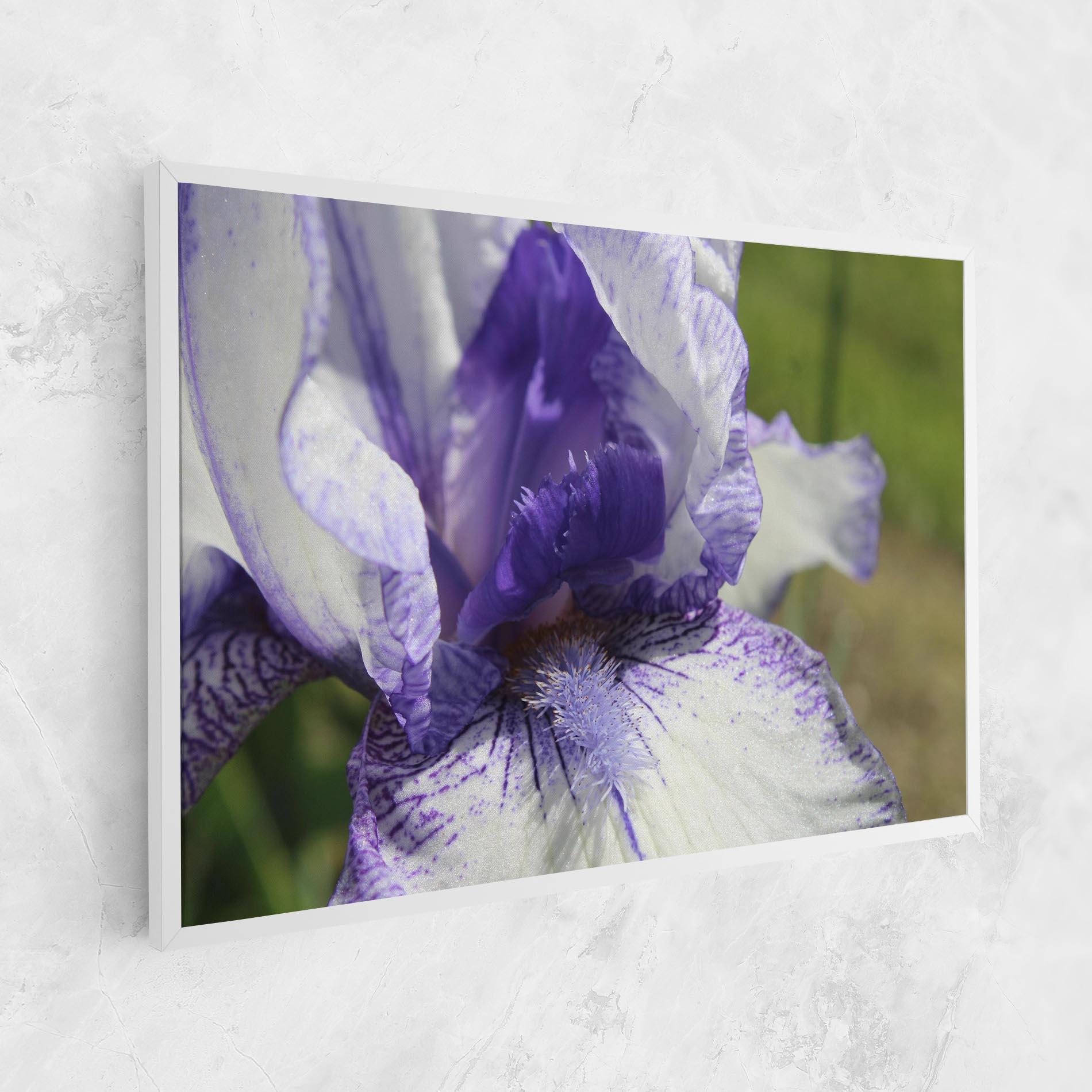 Vászonkép White Purple Iris mockup 1