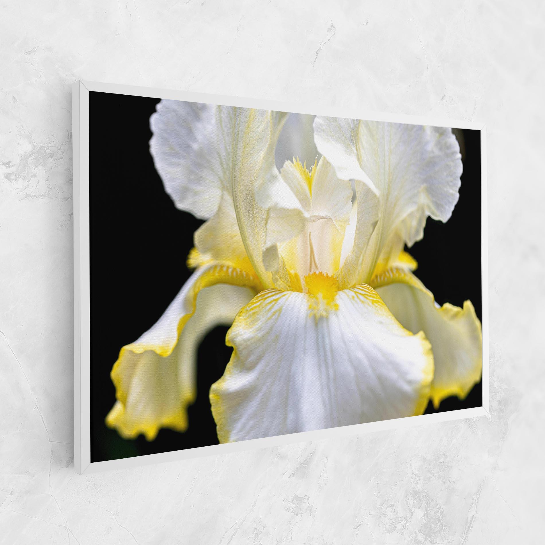 Vászonkép White Yellow Iris mockup 1