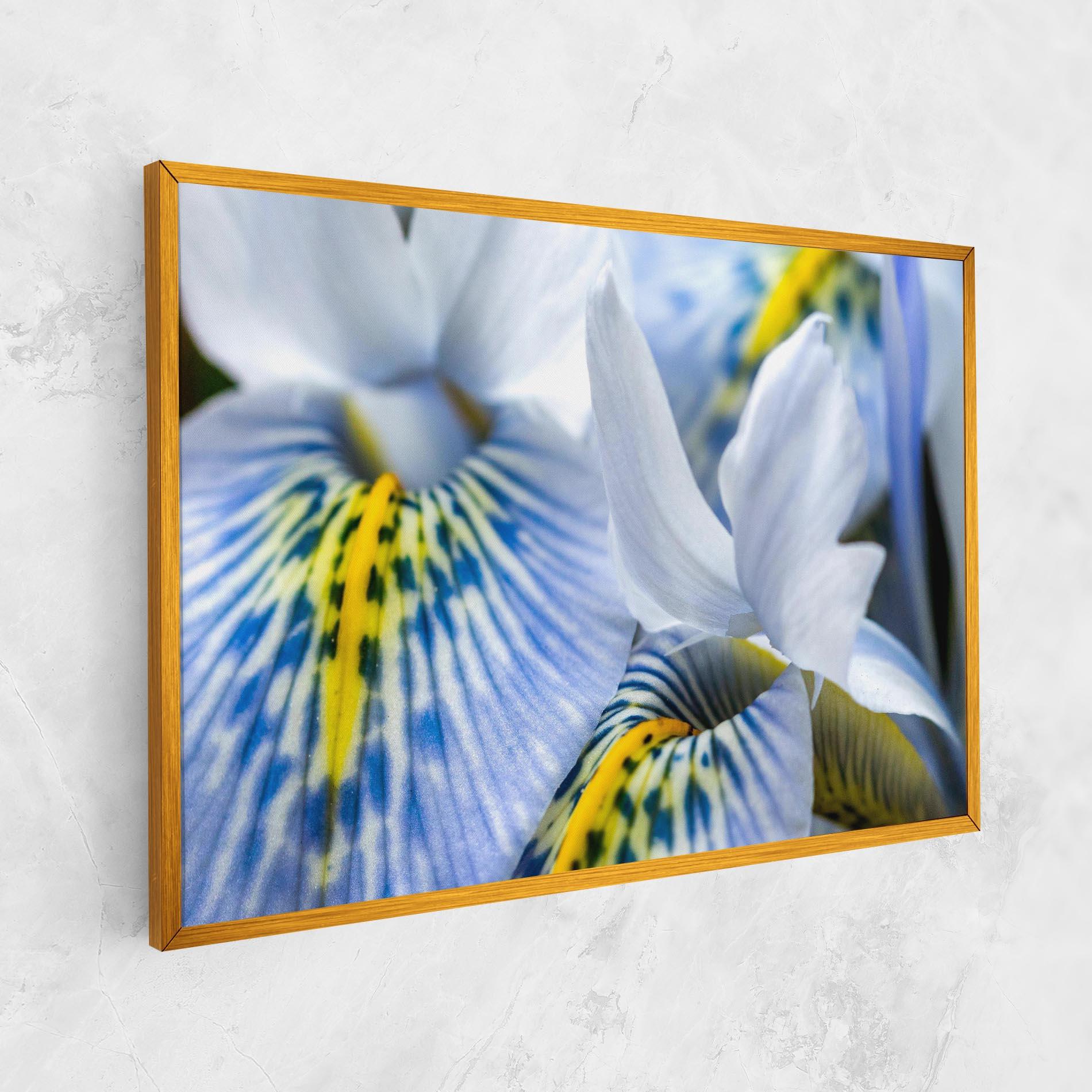 Vászonkép Blue Yellow Iris mockup 1