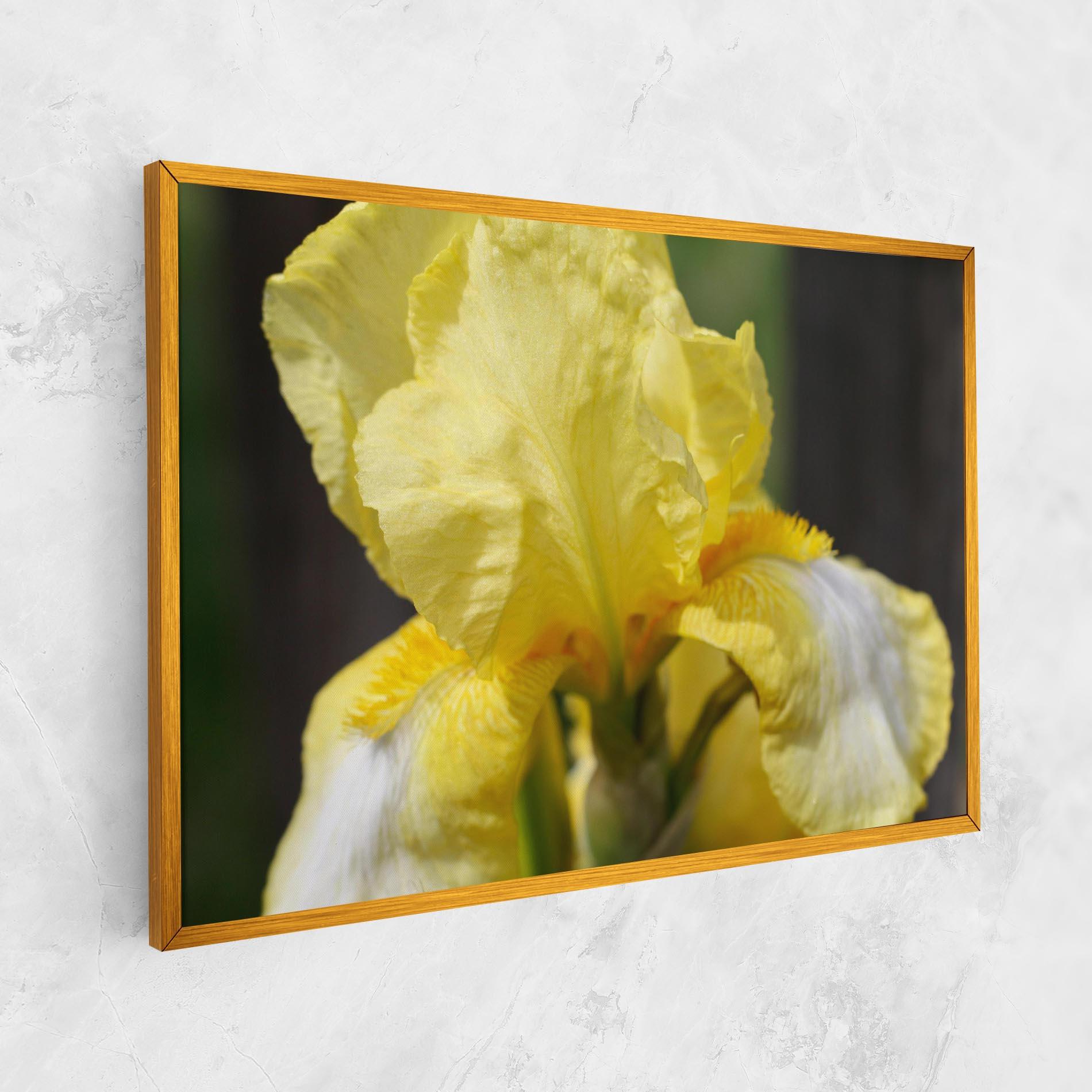 Vászonkép Garden Yellow Iris mockup 1
