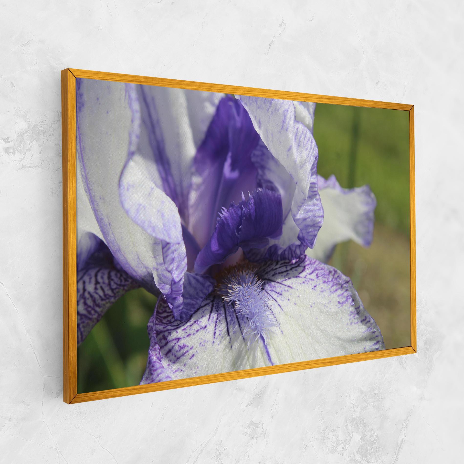 Vászonkép White Purple Iris mockup 1
