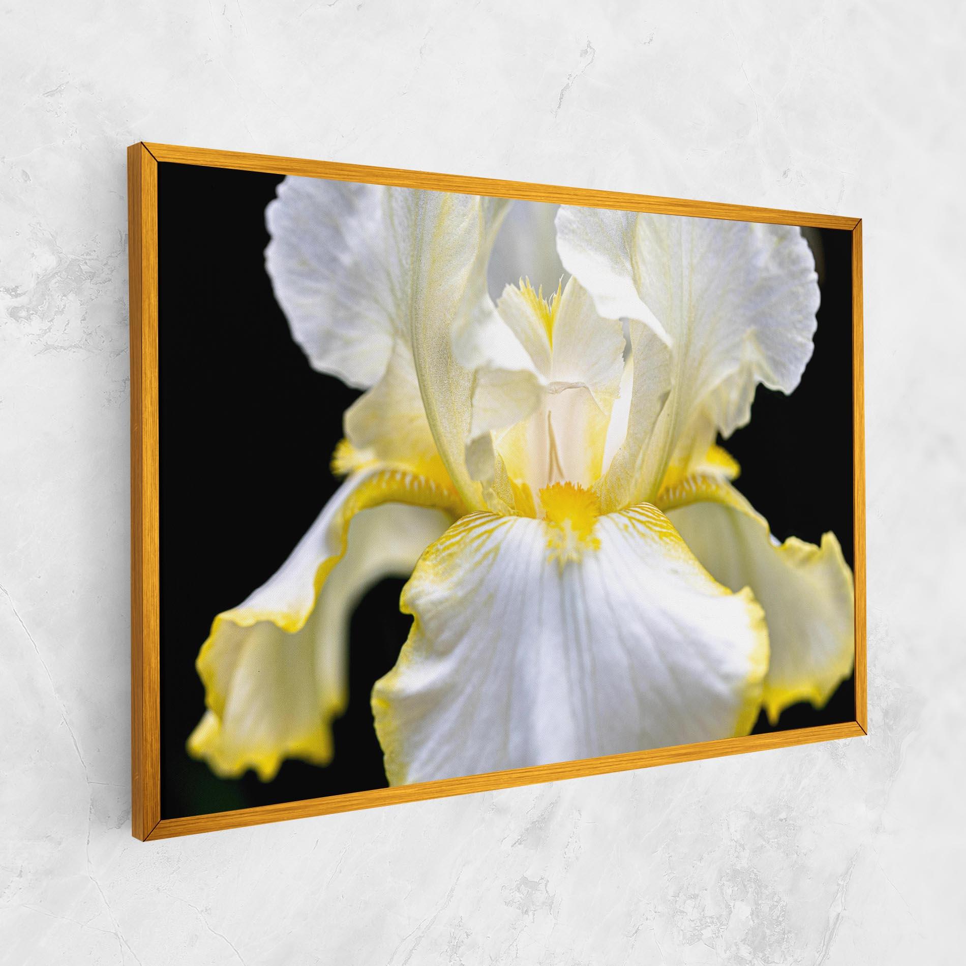 Vászonkép White Yellow Iris mockup 1