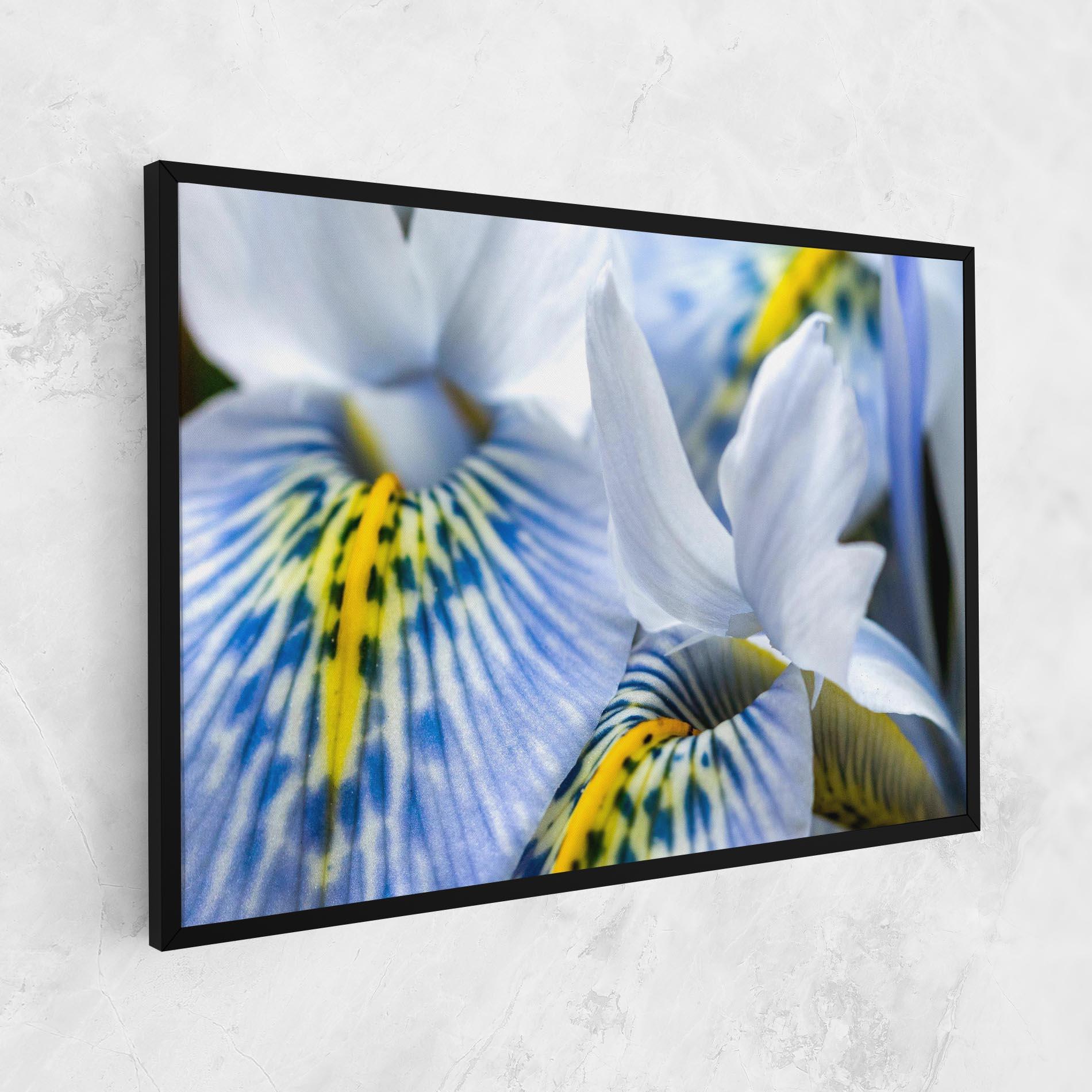 Vászonkép Blue Yellow Iris mockup 1