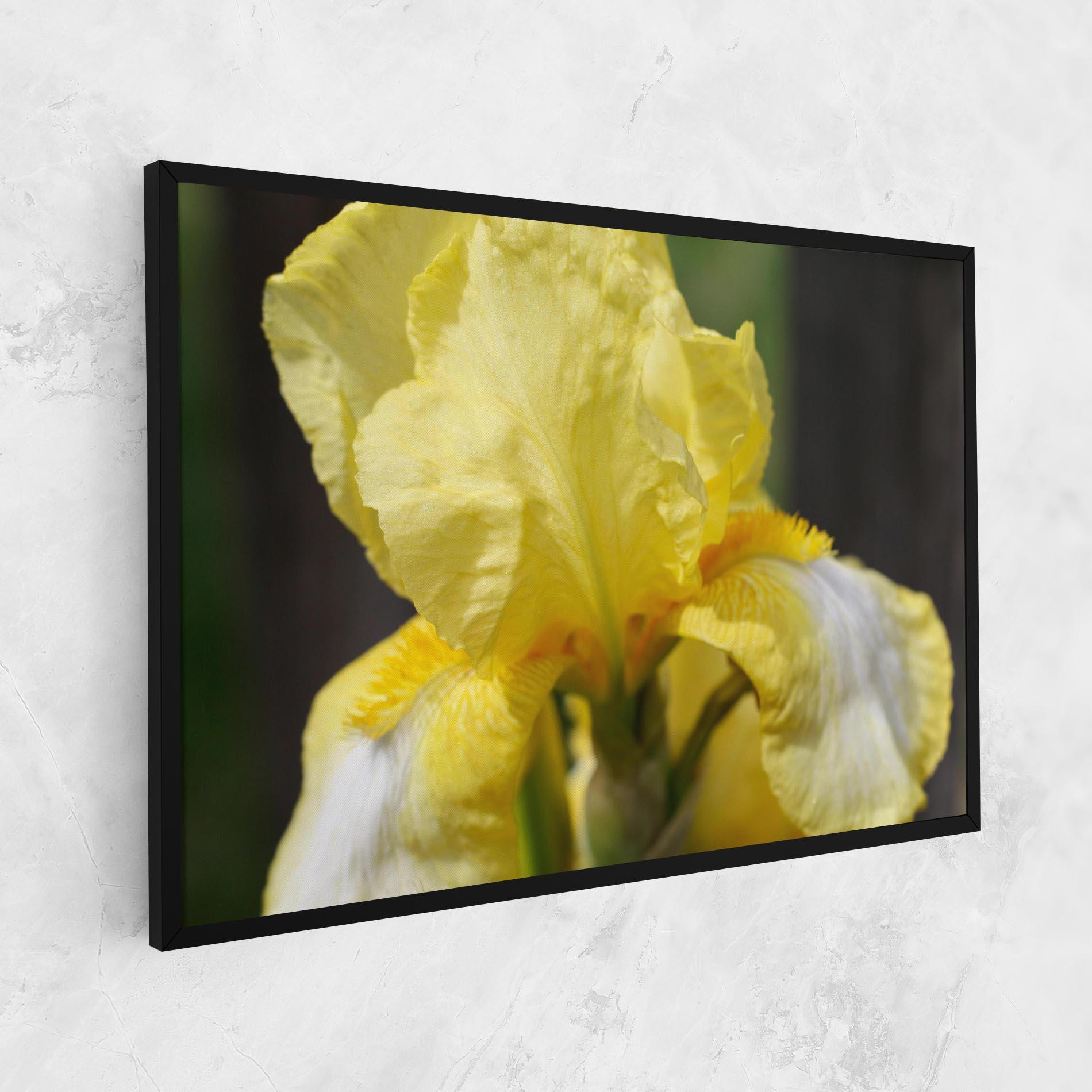 Vászonkép Garden Yellow Iris mockup 1