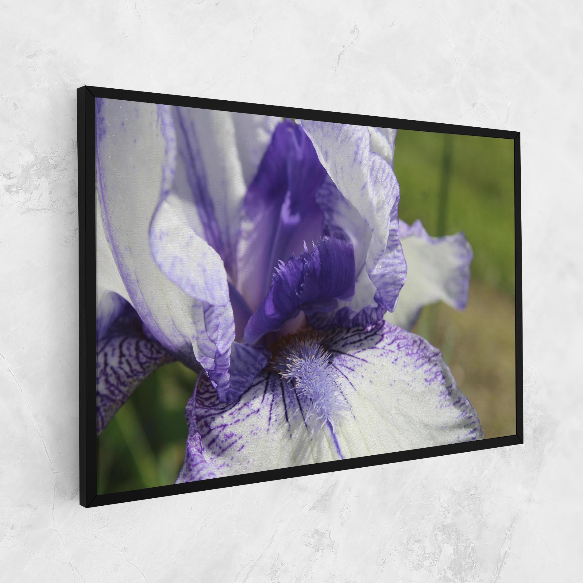 Vászonkép White Purple Iris mockup 1