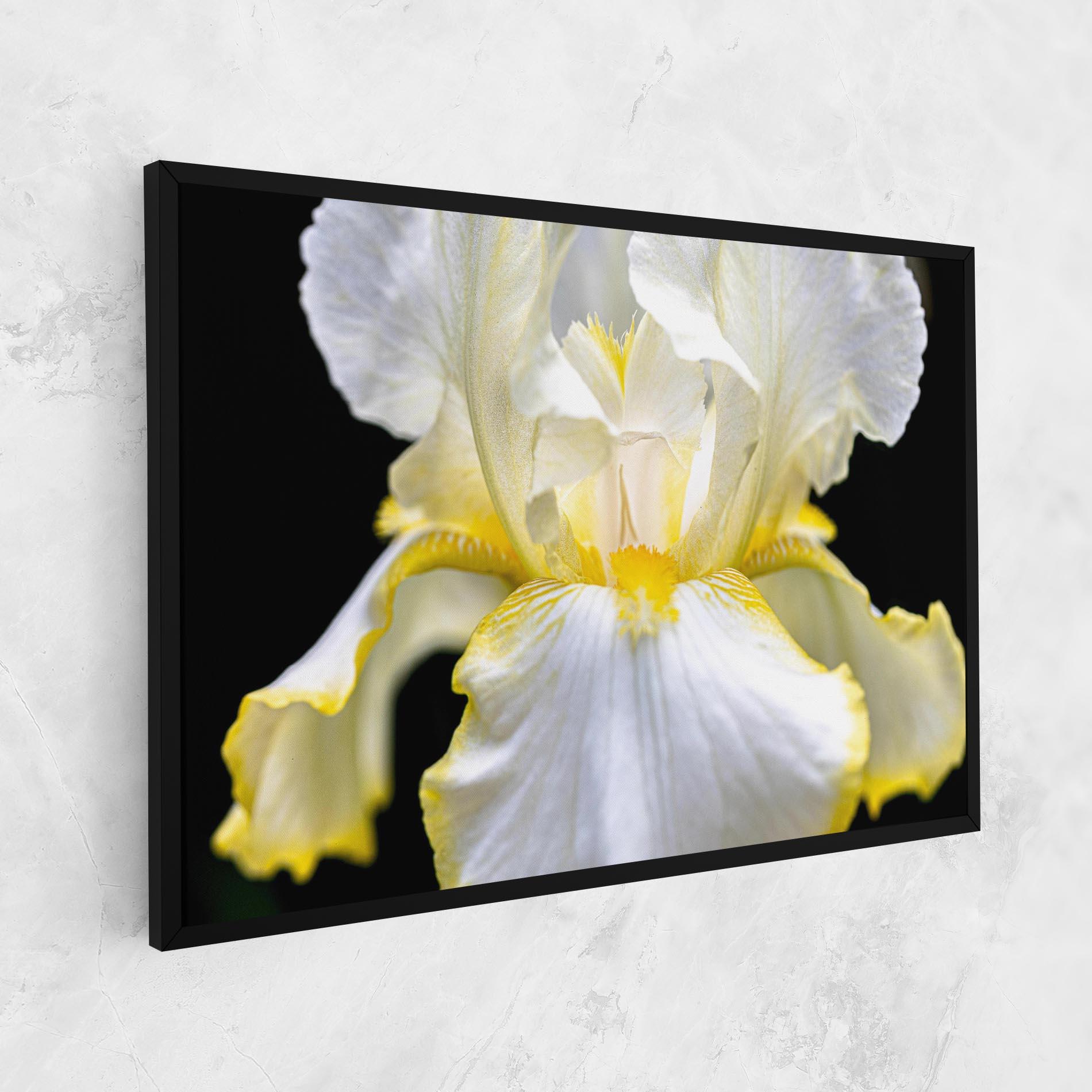Vászonkép White Yellow Iris mockup 1