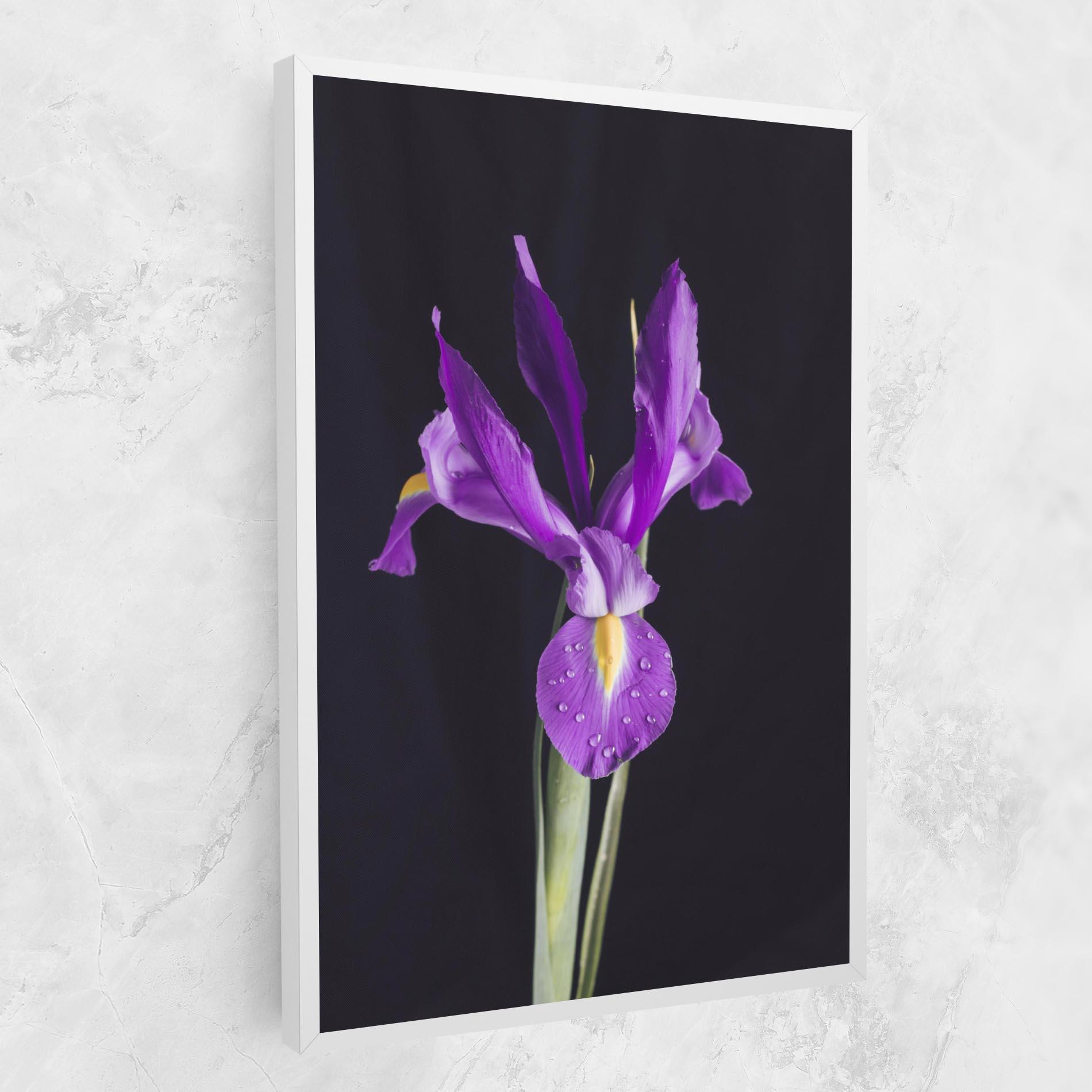 Vászonkép Fresh Purple Iris mockup 1