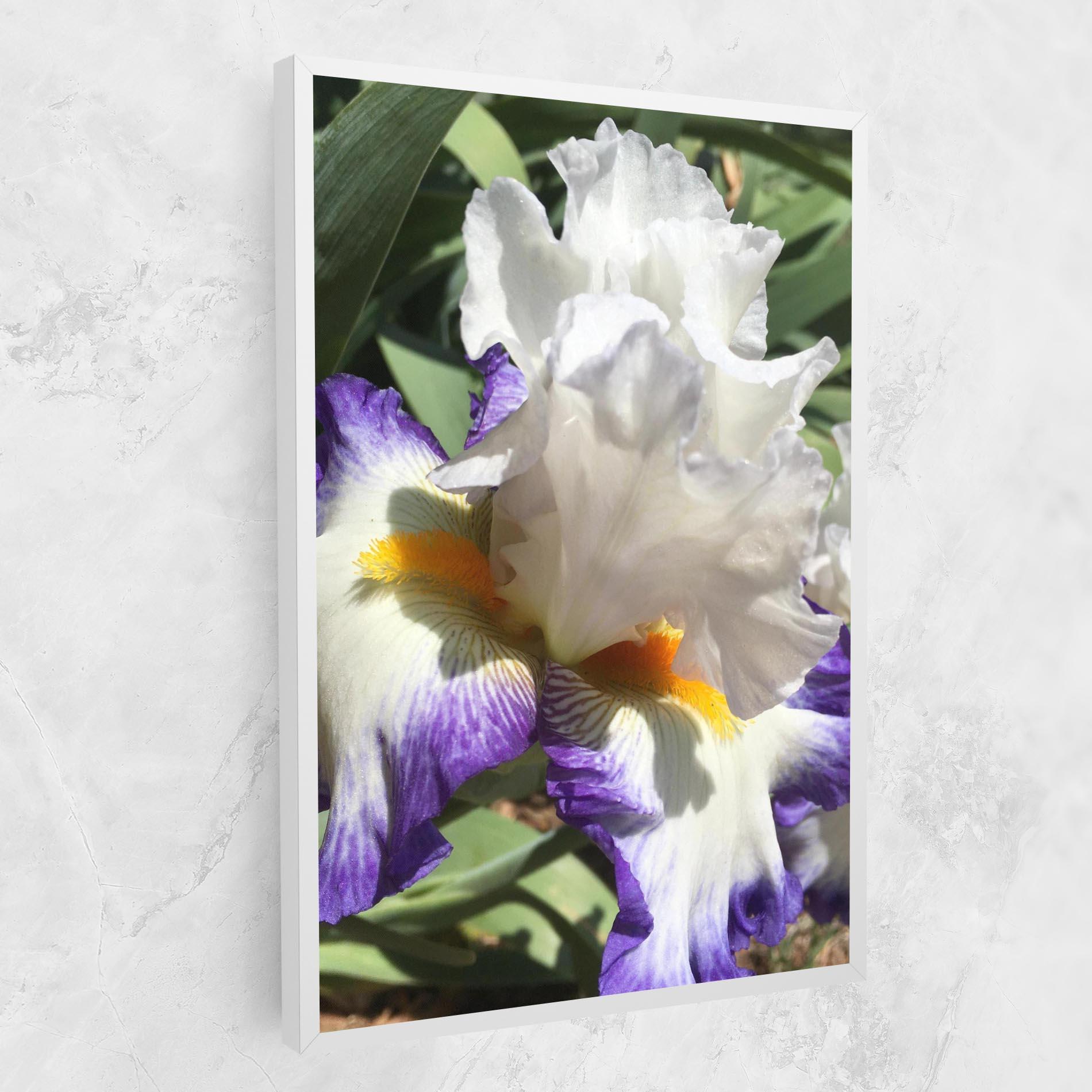 Vászonkép Garden White Purple Irirs mockup 1