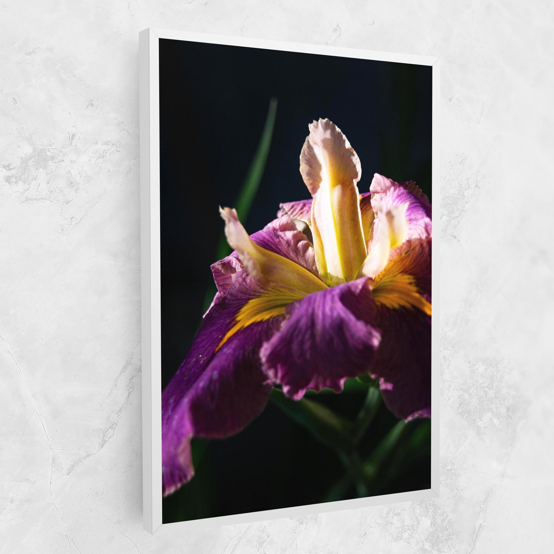 Vászonkép Pastel Yellow Iris mockup 1