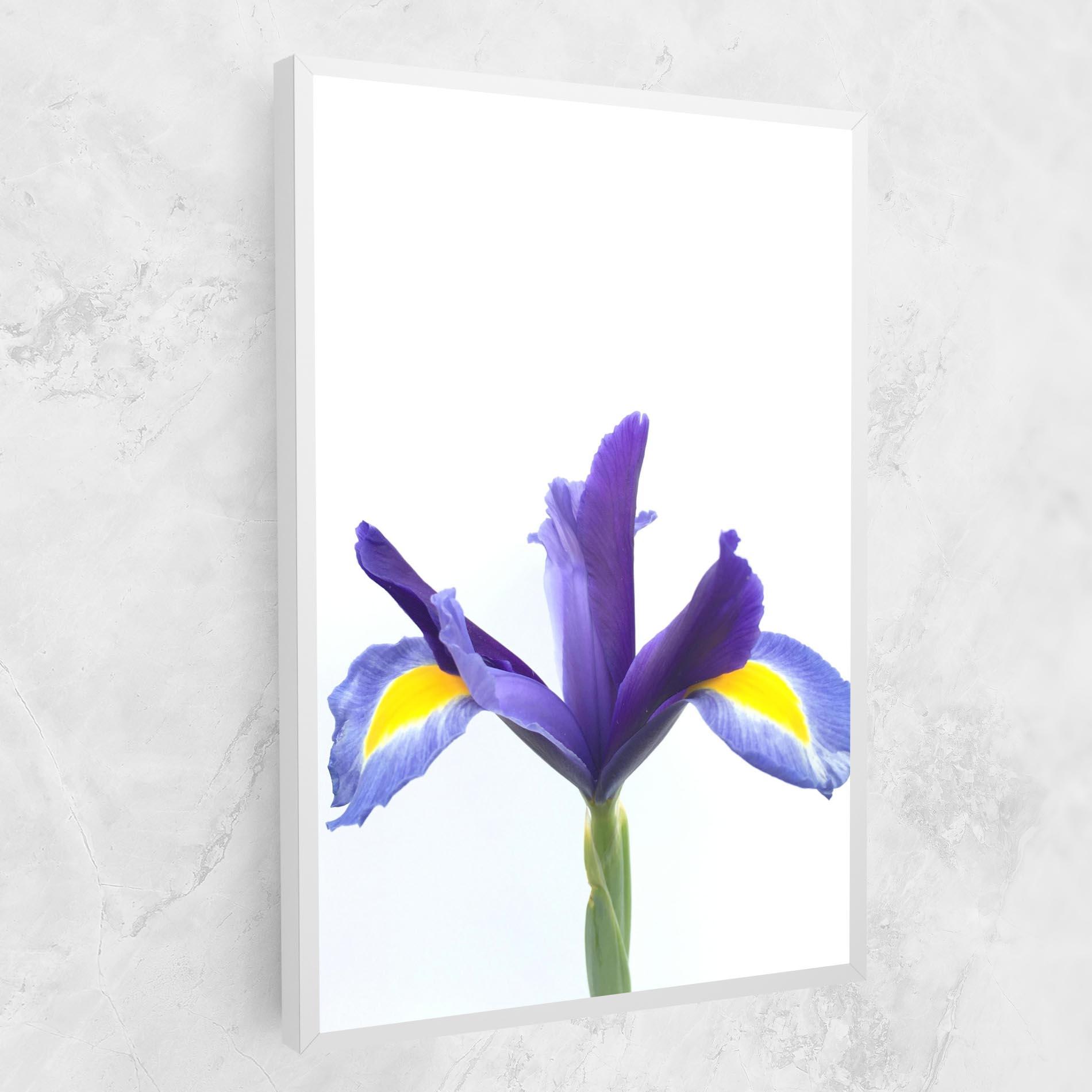 Vászonkép Yellow Color Iris mockup 1
