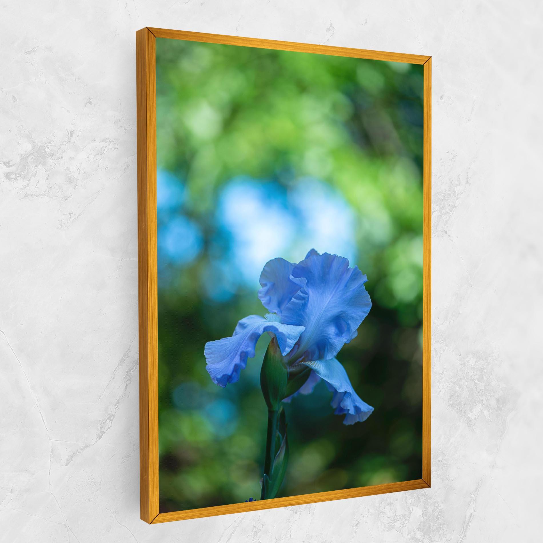 Vászonkép Blue Iris In The Garden mockup 1