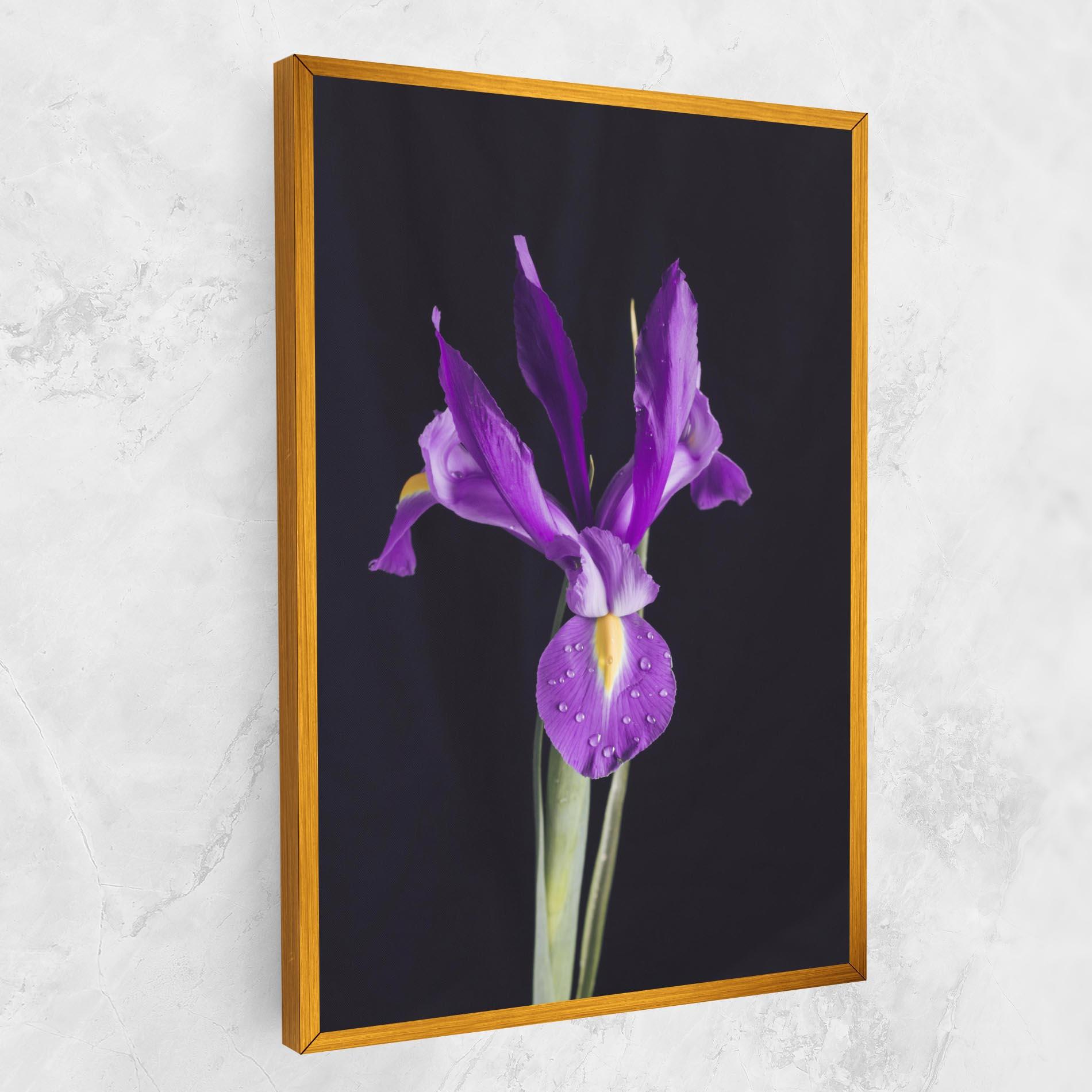 Vászonkép Fresh Purple Iris mockup 1