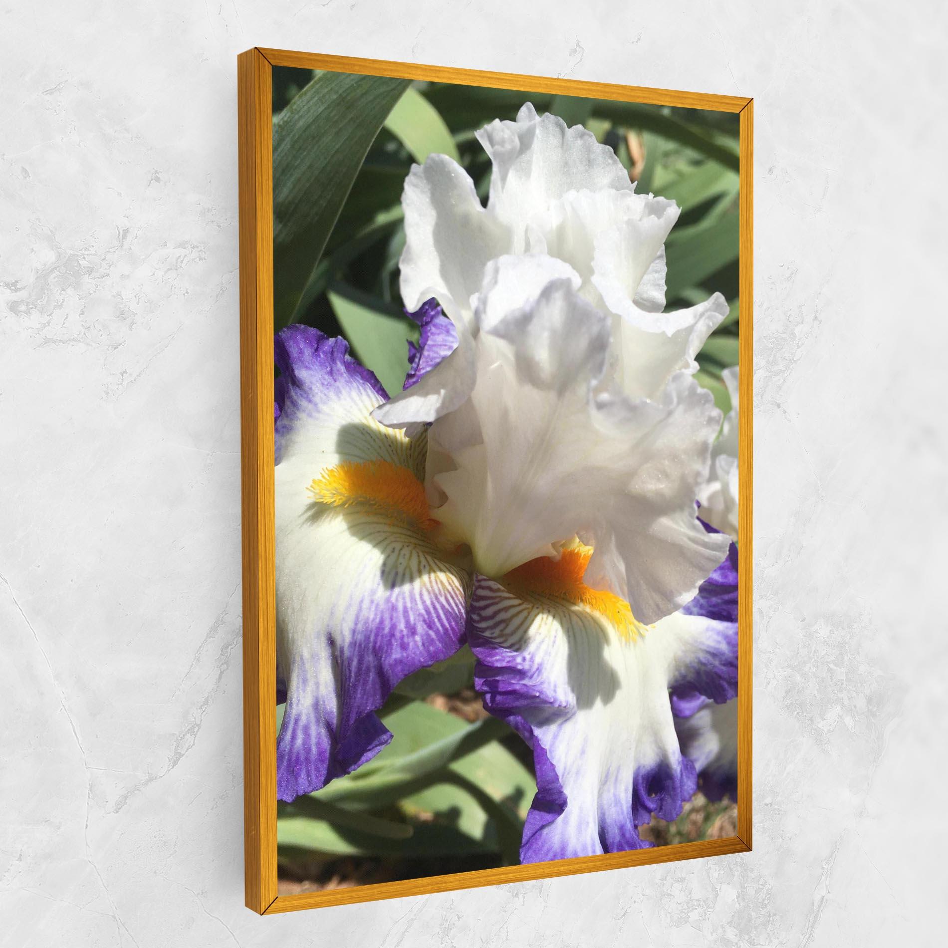 Vászonkép Garden White Purple Irirs mockup 1