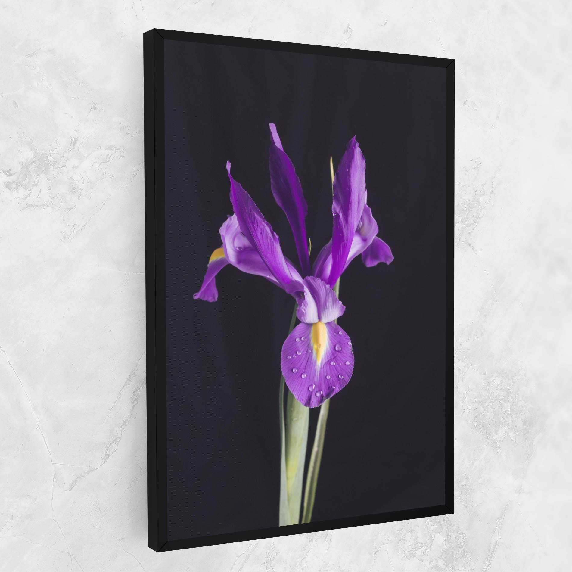 Vászonkép Fresh Purple Iris mockup 1