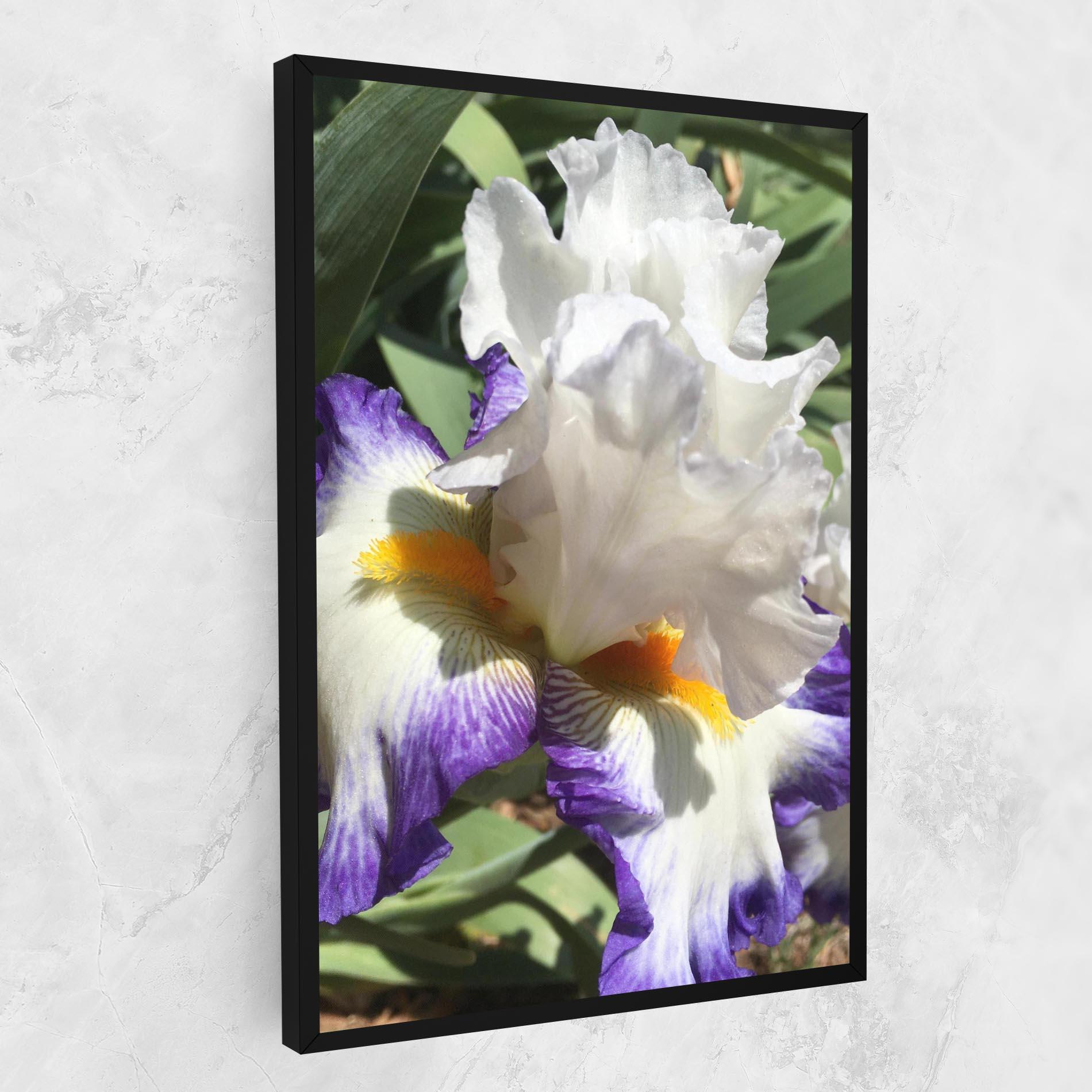 Vászonkép Garden White Purple Irirs mockup 1