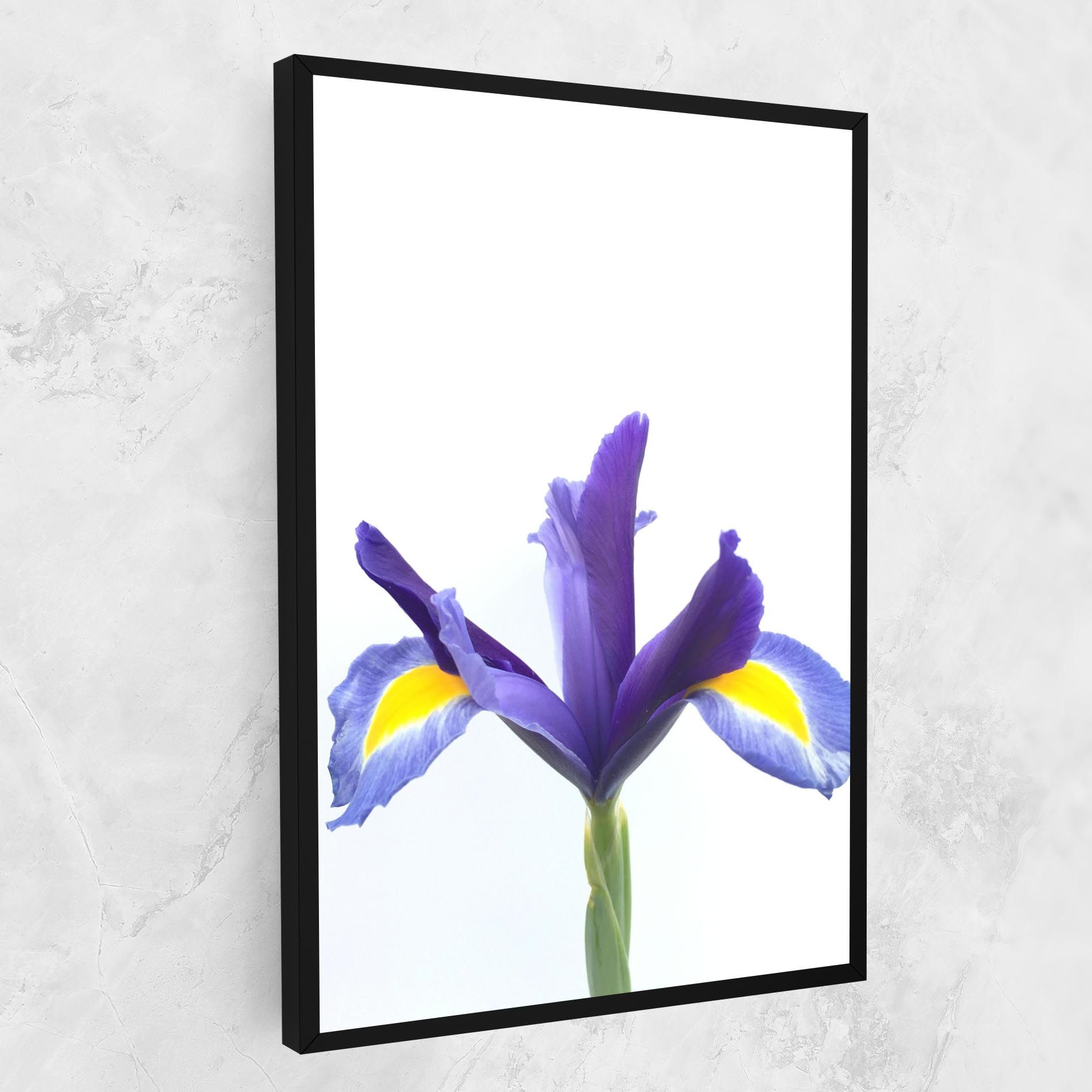 Yellow Color Iris mockup 1