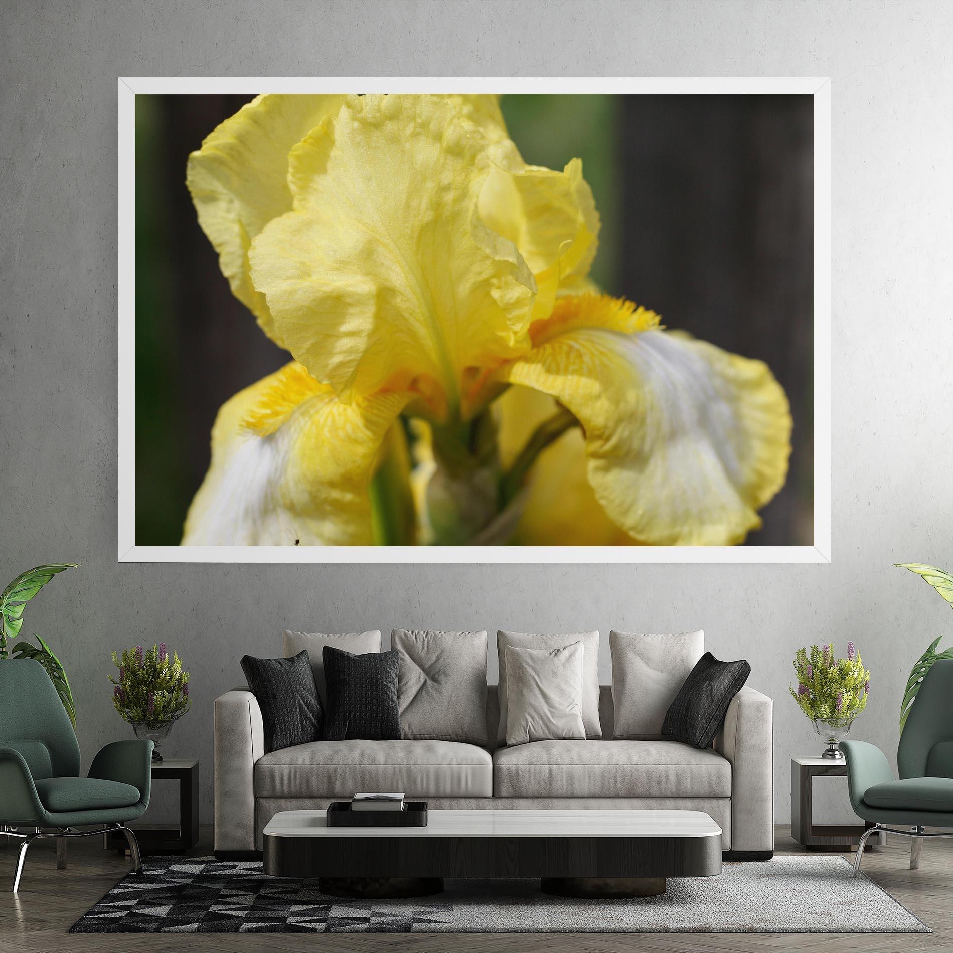Vászonkép Garden Yellow Iris mockup 7