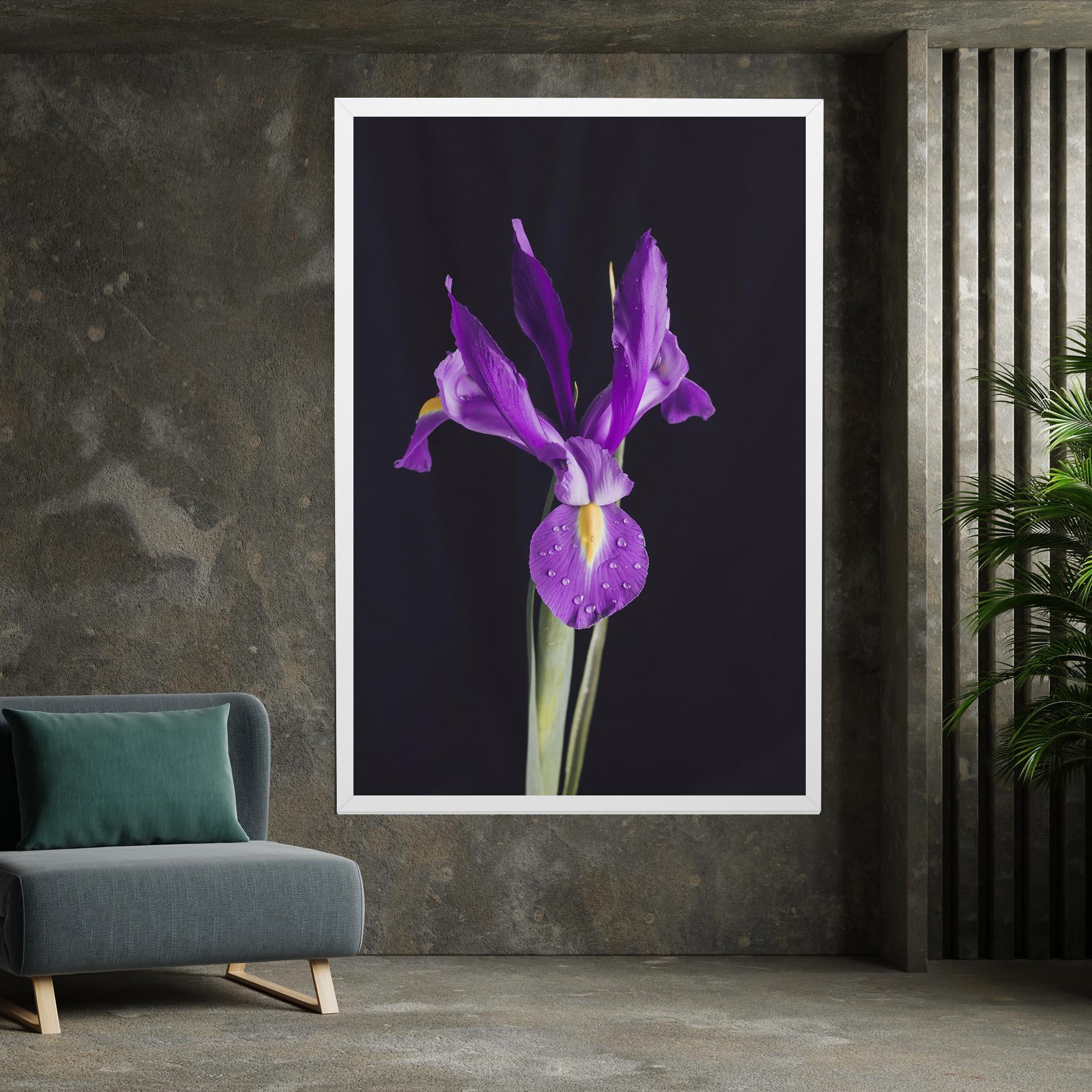 Vászonkép Fresh Purple Iris mockup 7