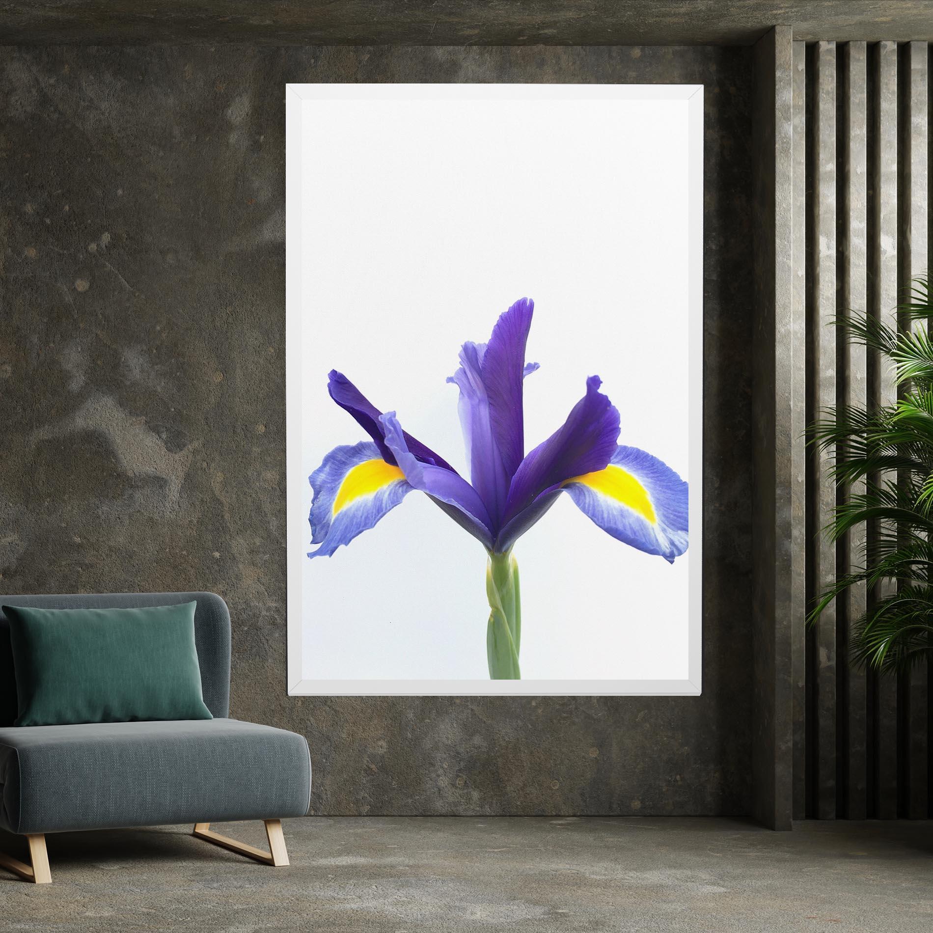 Vászonkép Yellow Color Iris mockup 7