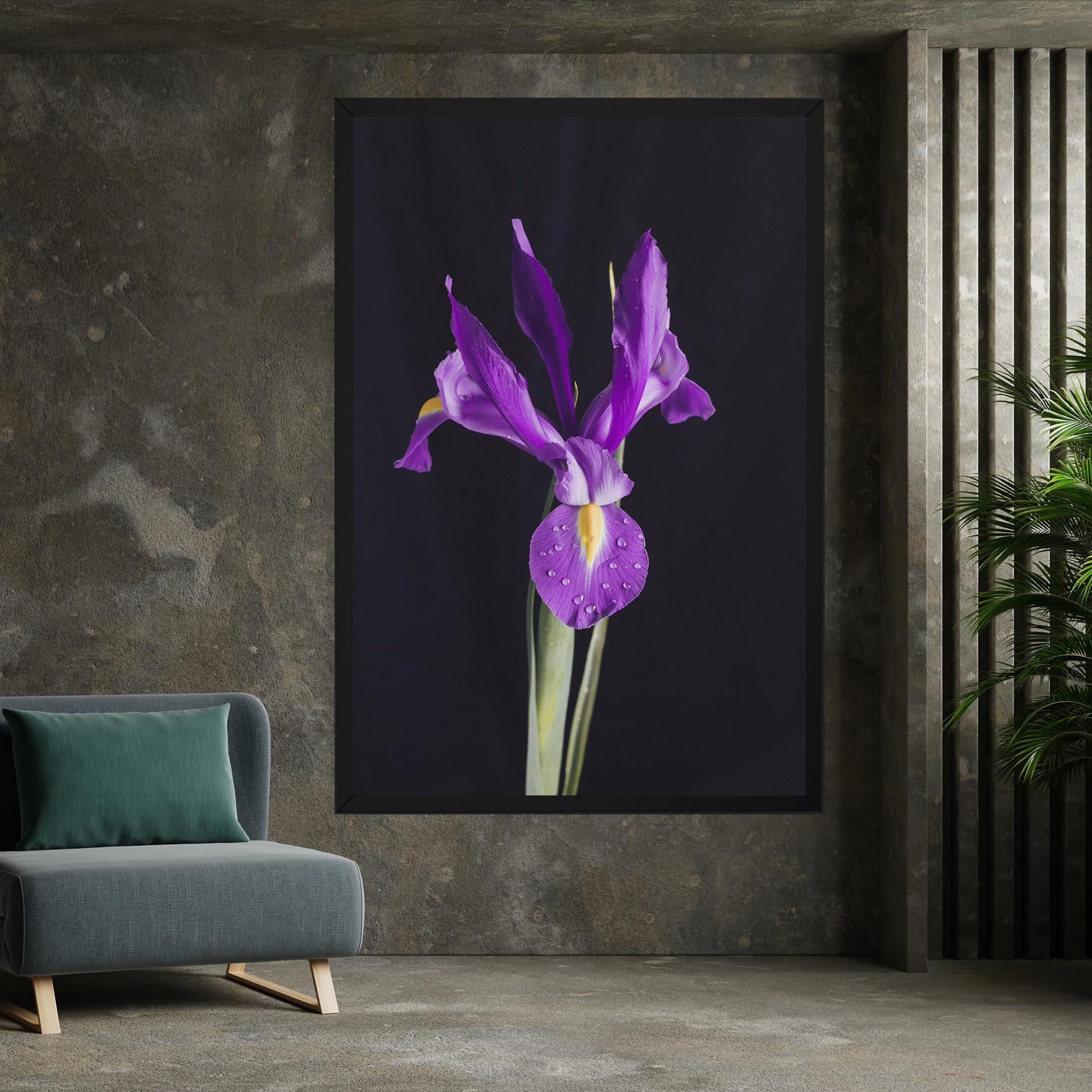 Vászonkép Fresh Purple Iris mockup 7